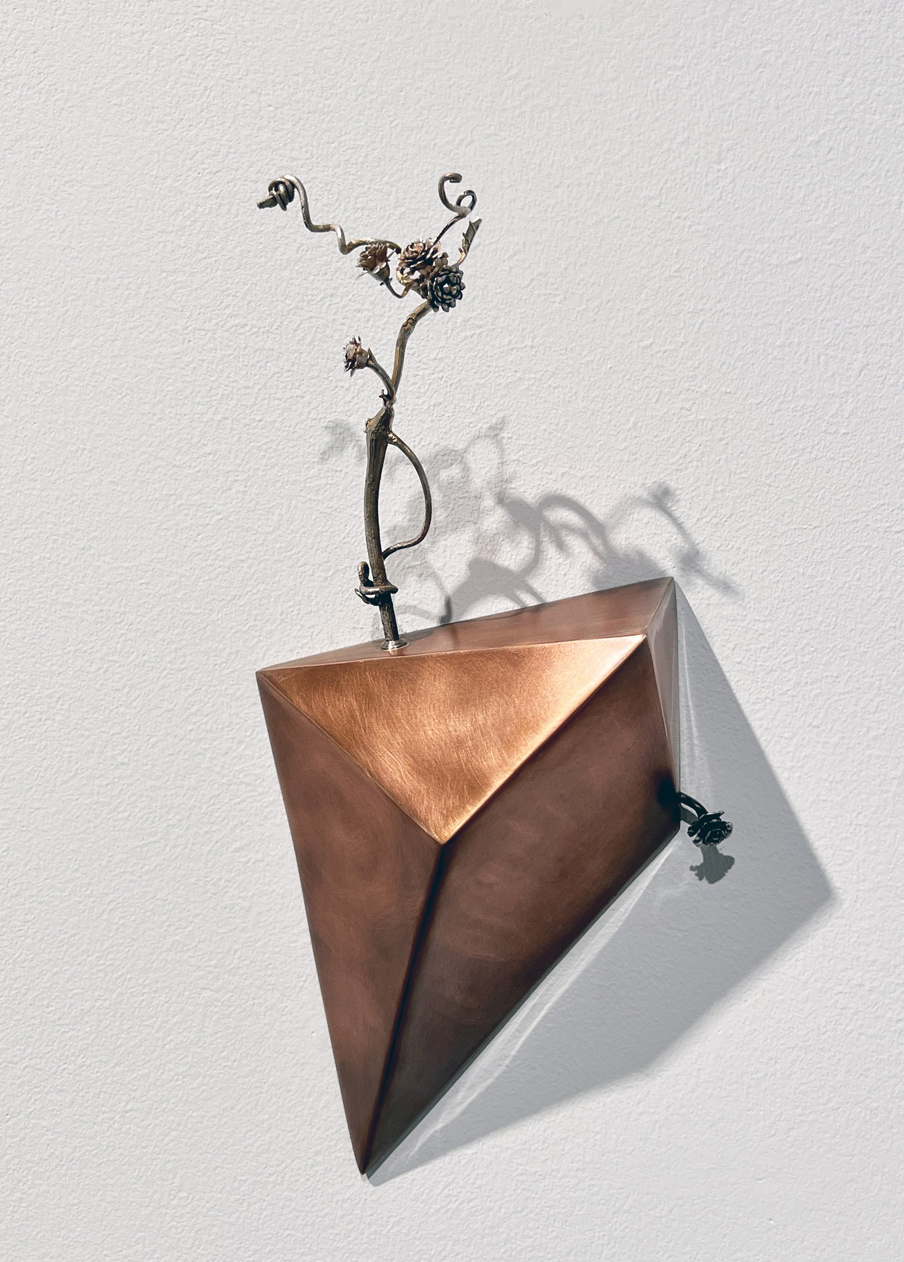 Jonathan's Garden.jpeg