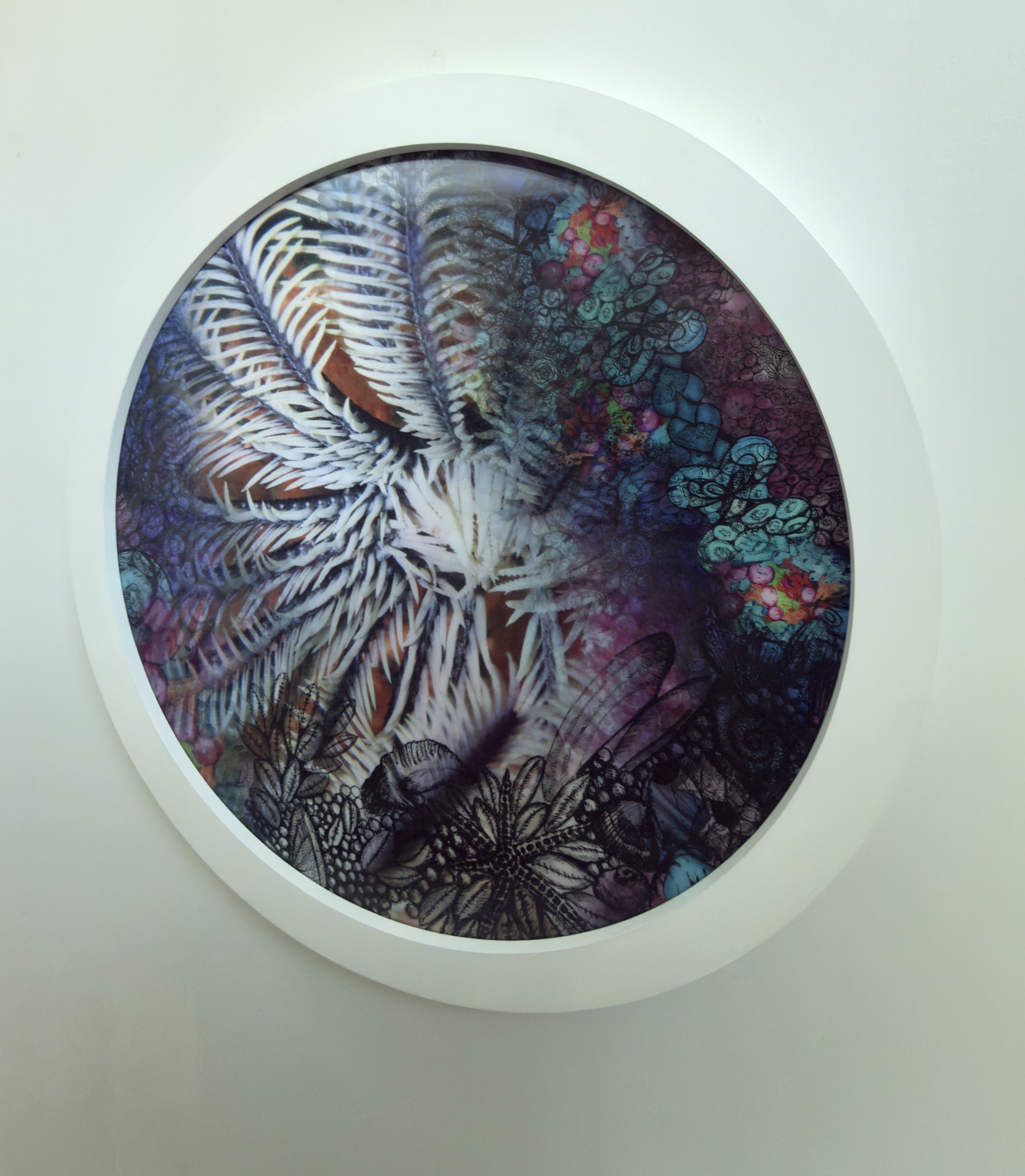 15.Conchita (View 2)_ Janavi Mahimtura Folmsbee .jpg