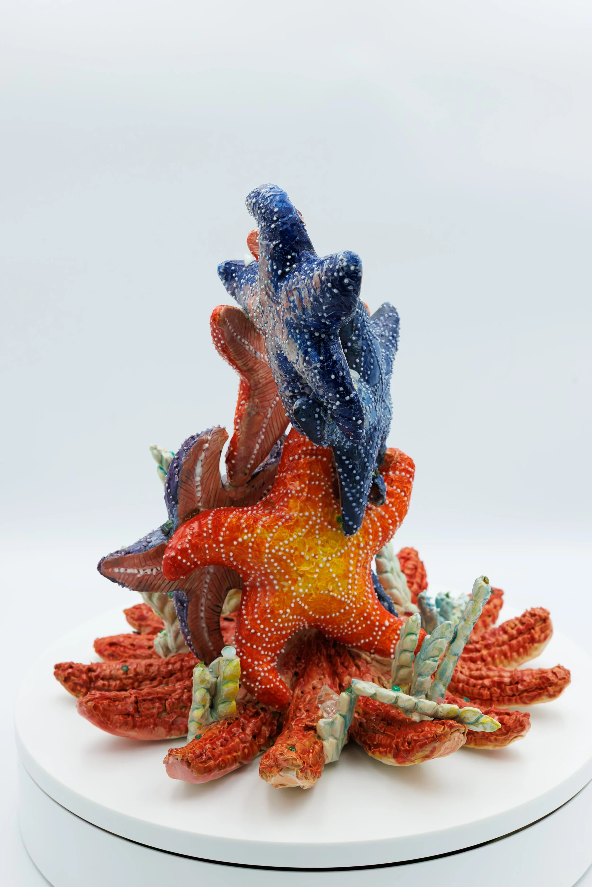 12.When Stars Soar_ Janavi Mahimtura Folsbee .jpg