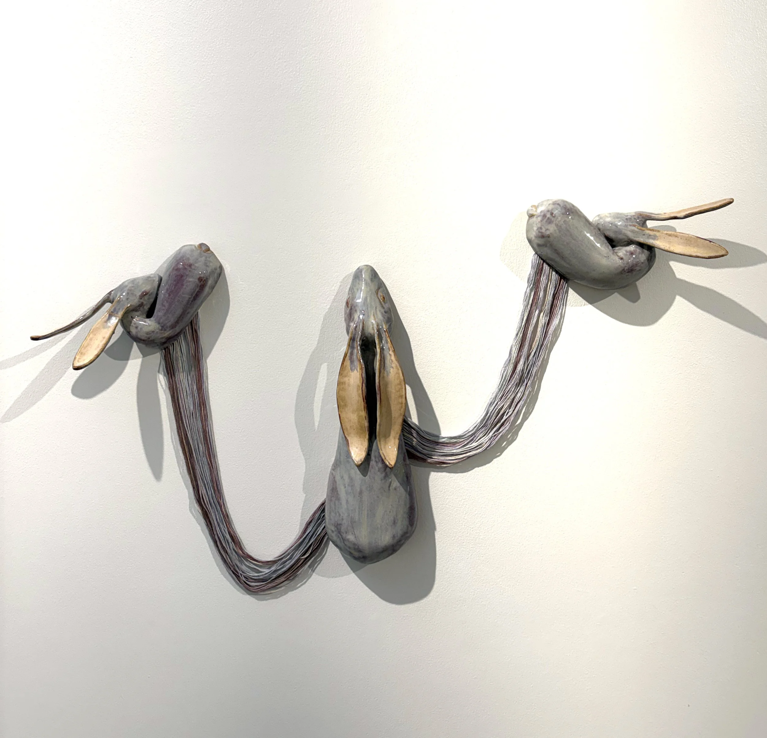 Hailey Harvey Without Question.jpg