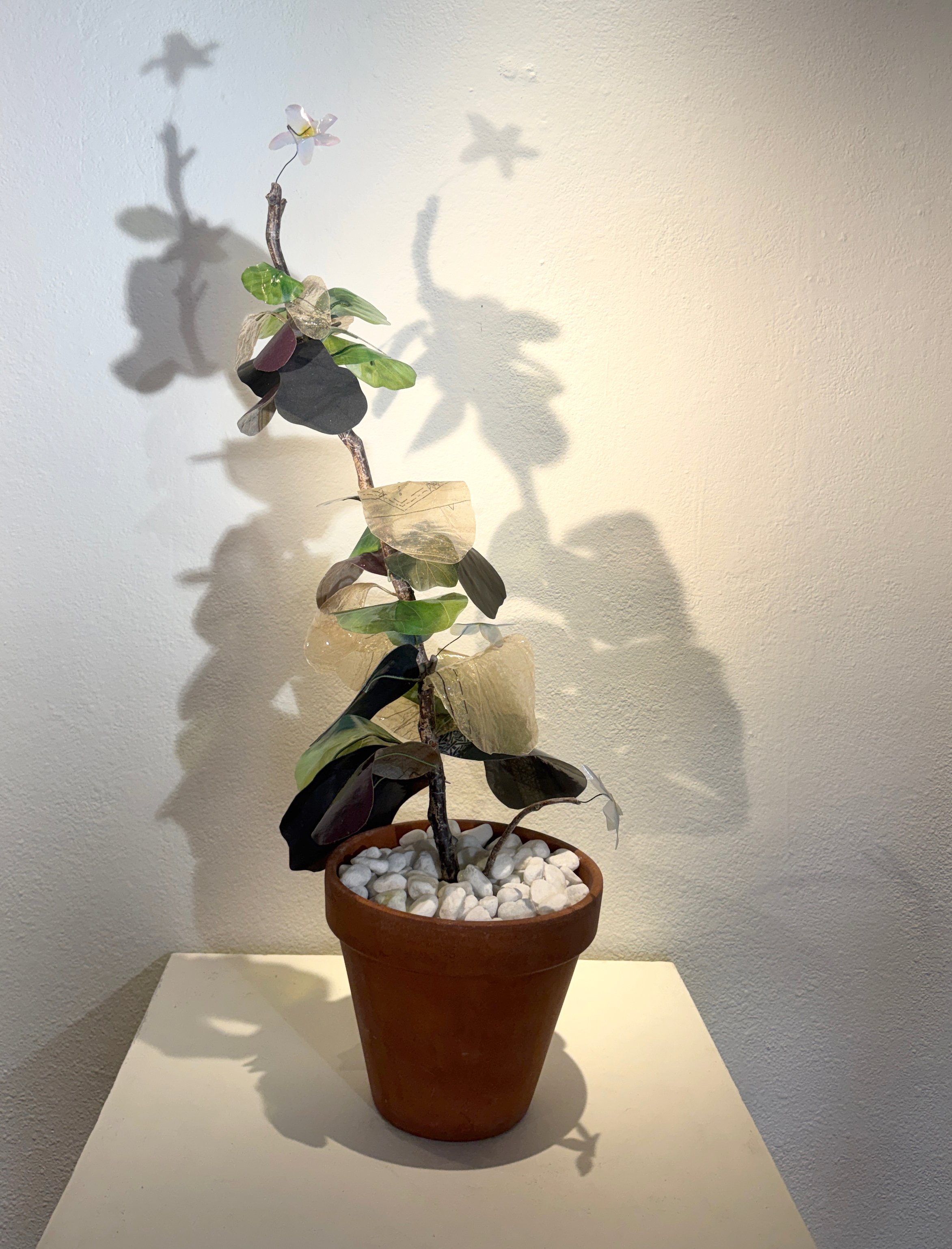 Esperanza & Black copy.jpg