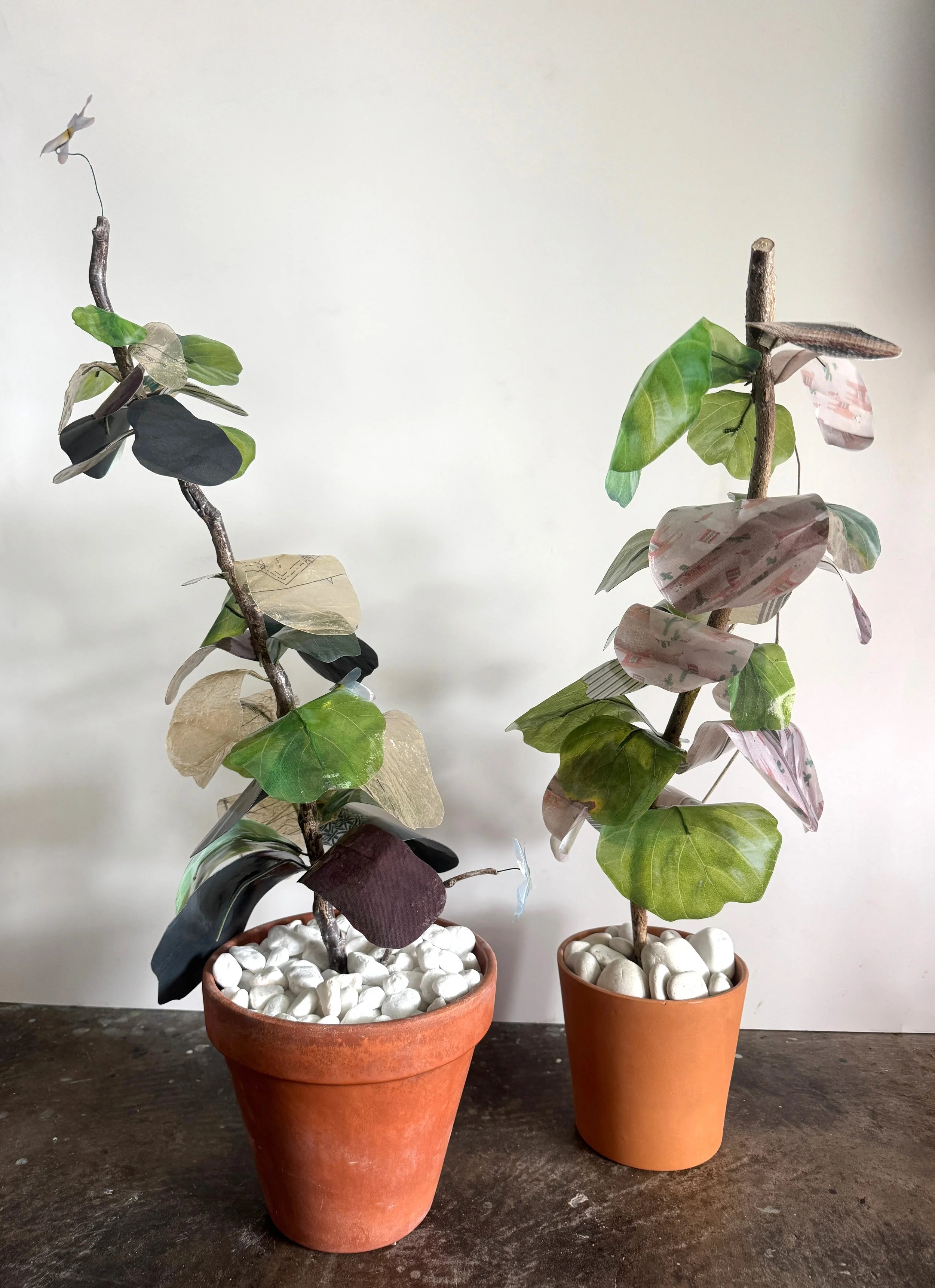 Esperanza & Black and Stripes & Llamas Fig copy.jpg