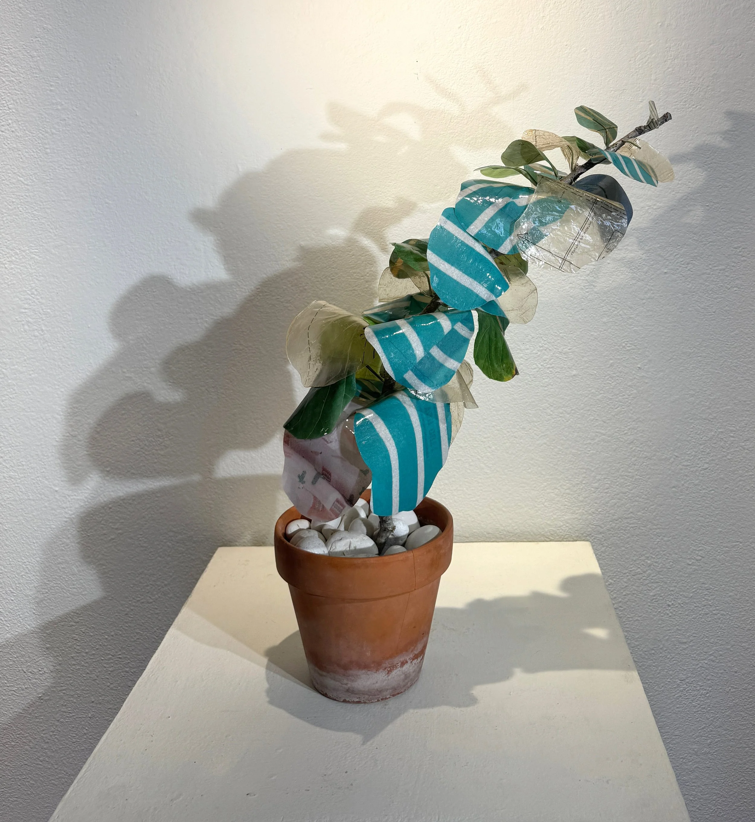 Esperanza & Stripes copy.jpg