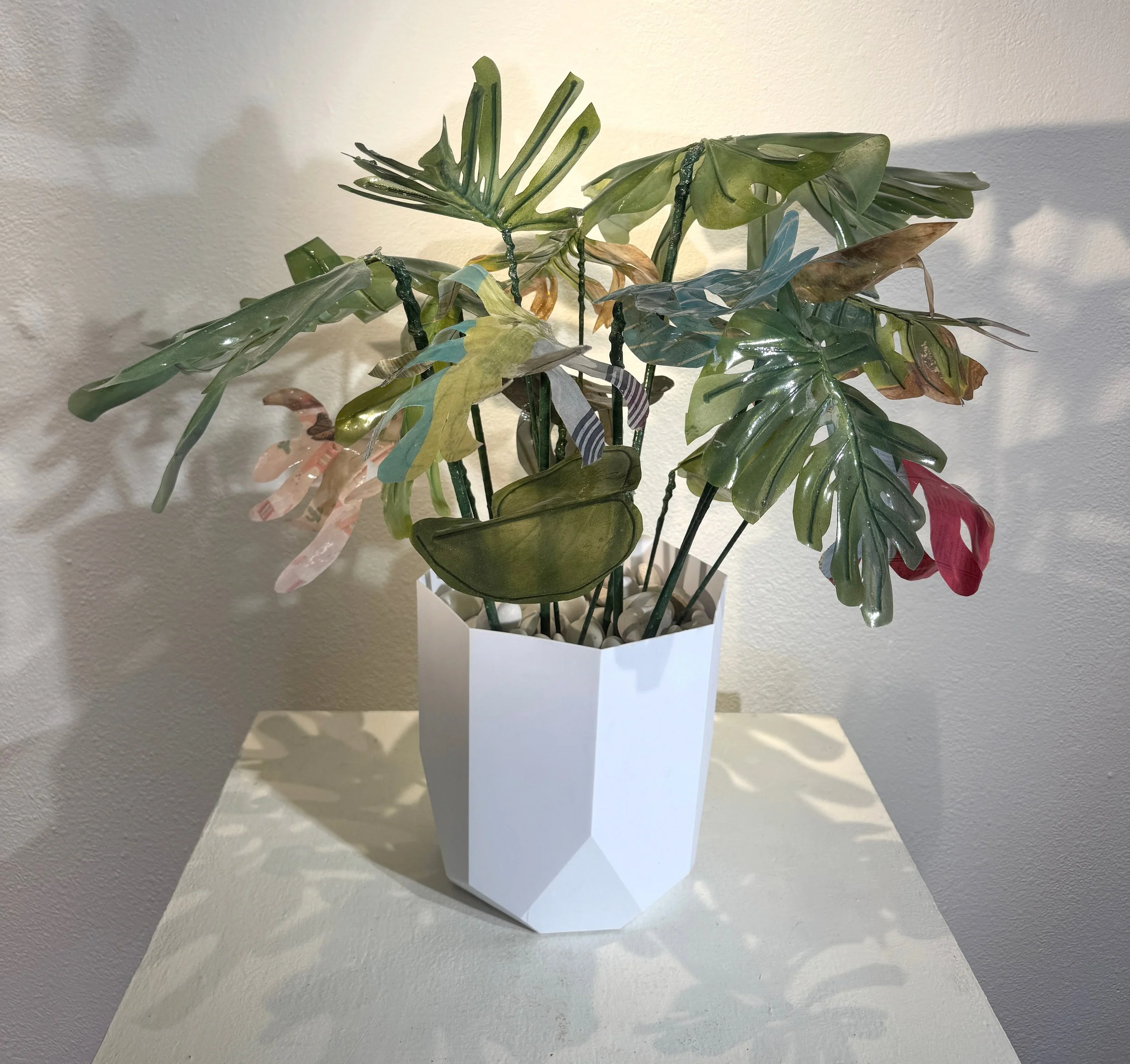 Monstera 2 copy.jpg