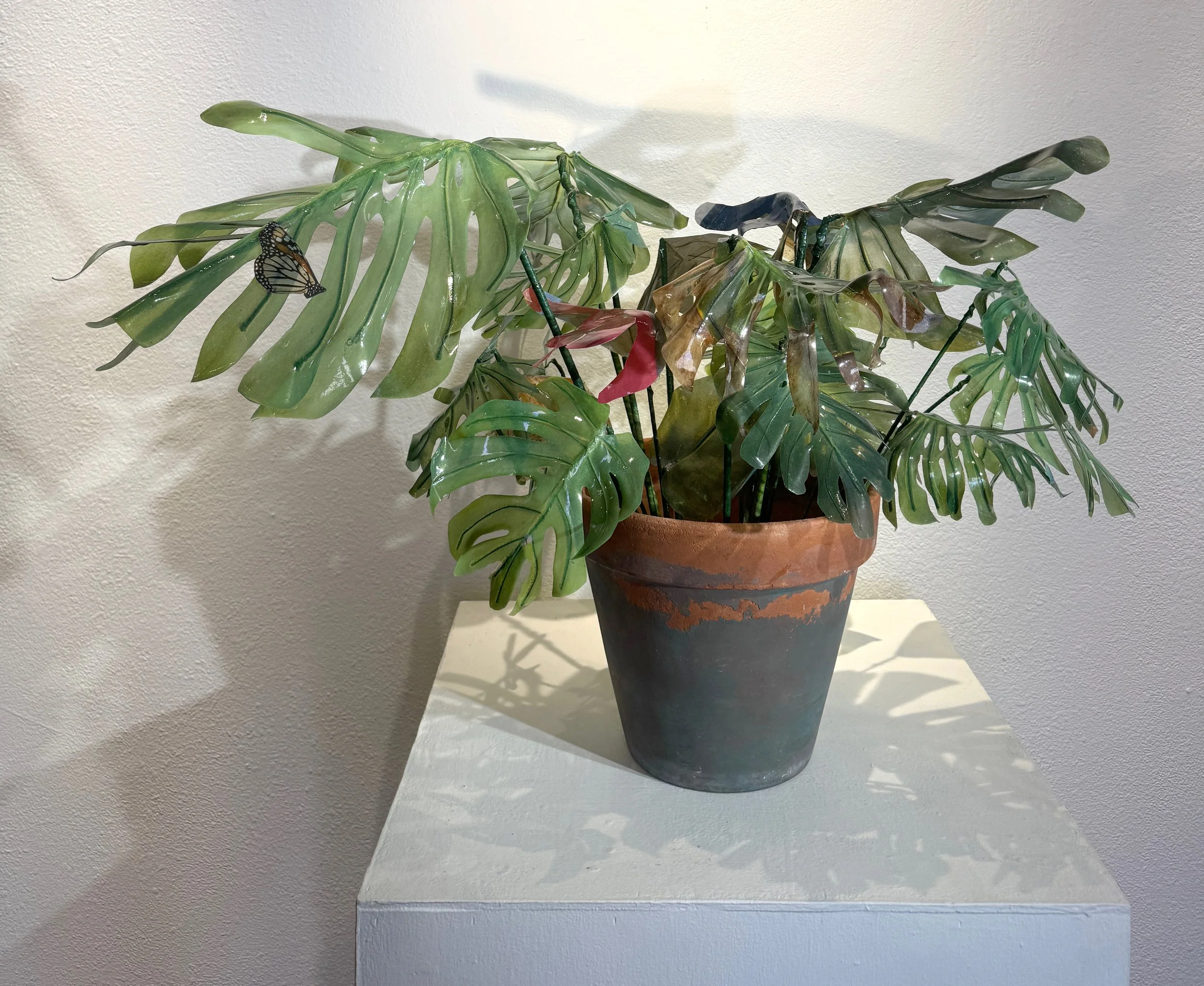 Monstera 3 copy.jpg