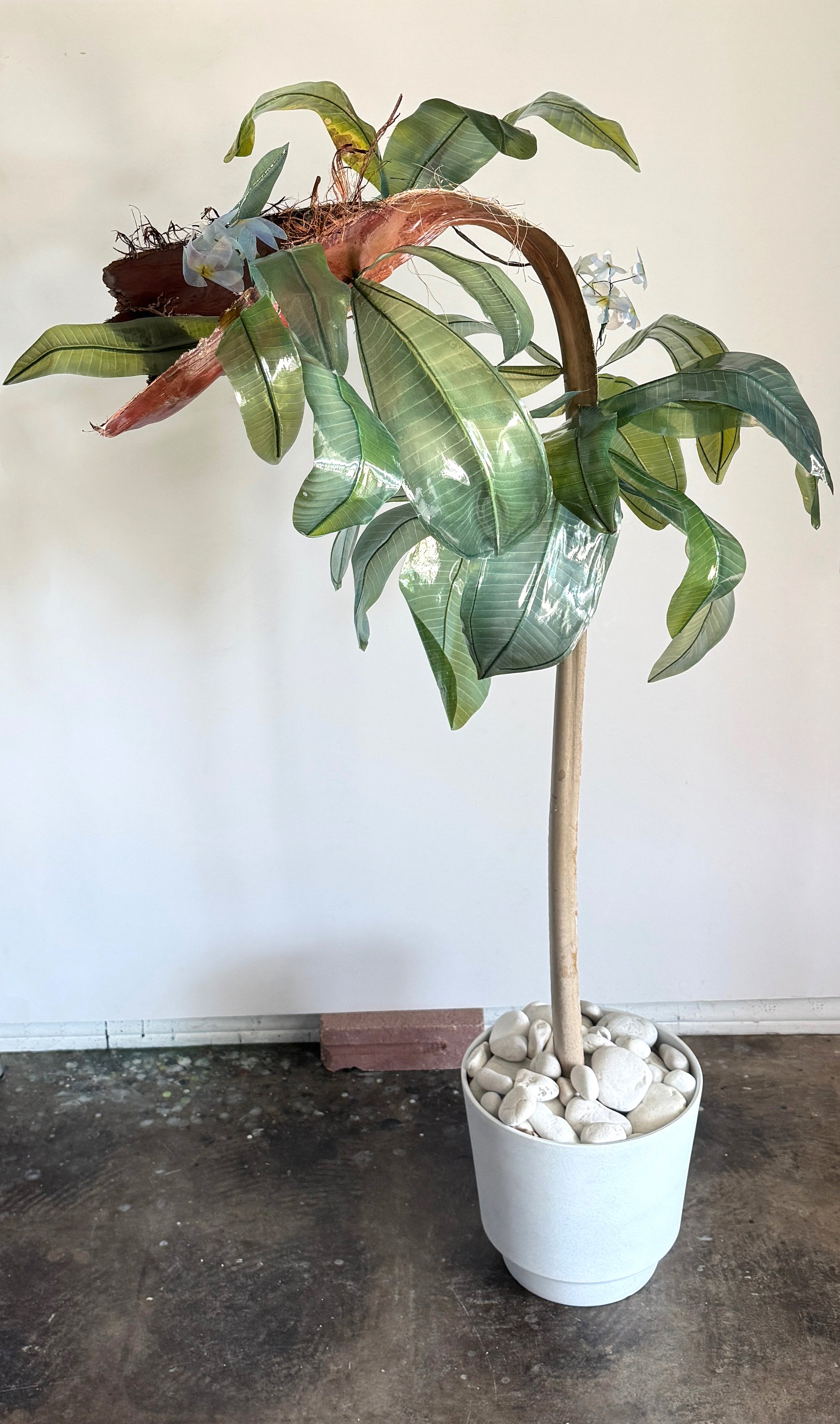 Plumeria and Palm Hybrid 1 copy.jpg