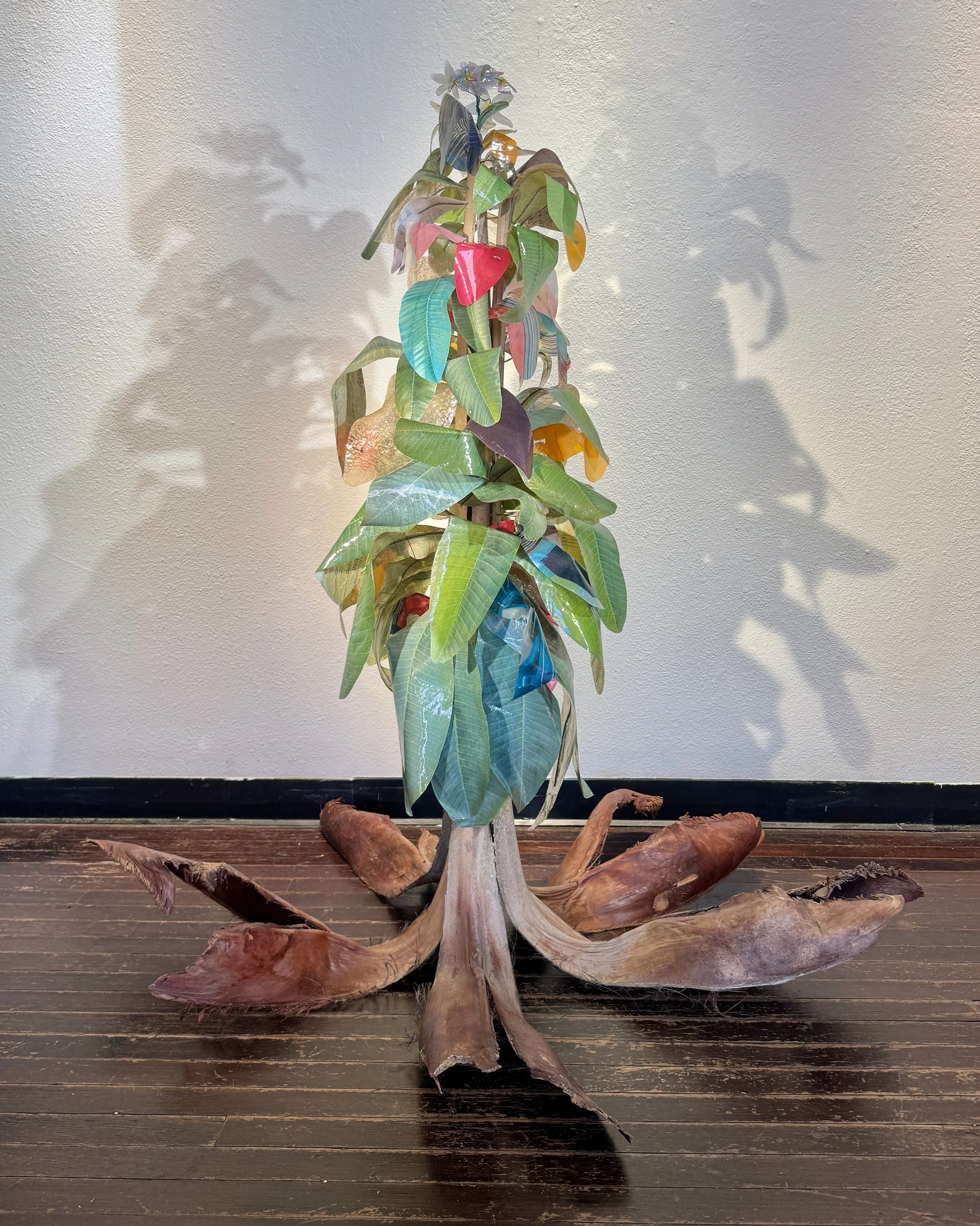 Plumeria and Palm Hybrid 2 copy.jpg