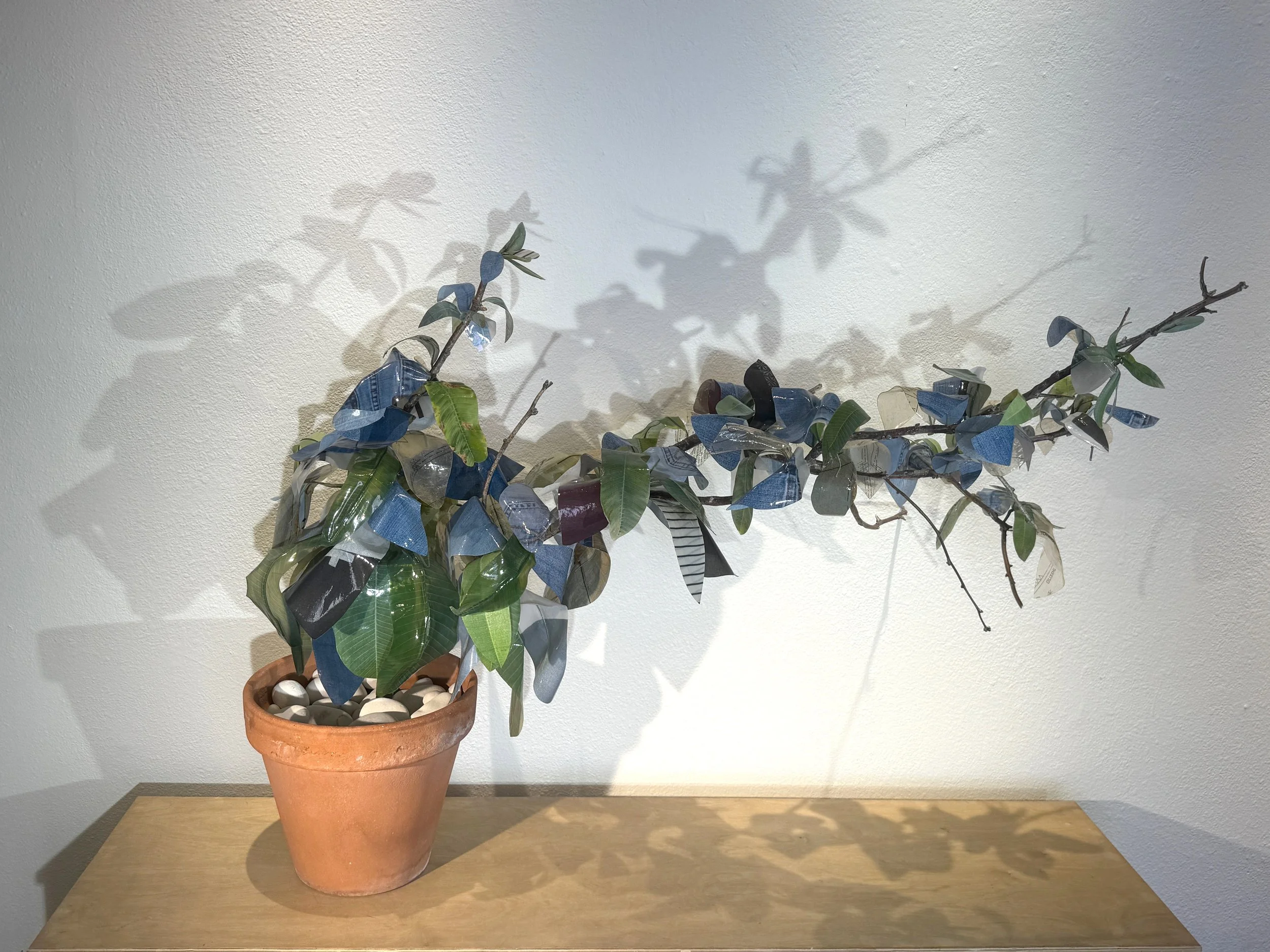 Twig & Denim (B) copy.jpg