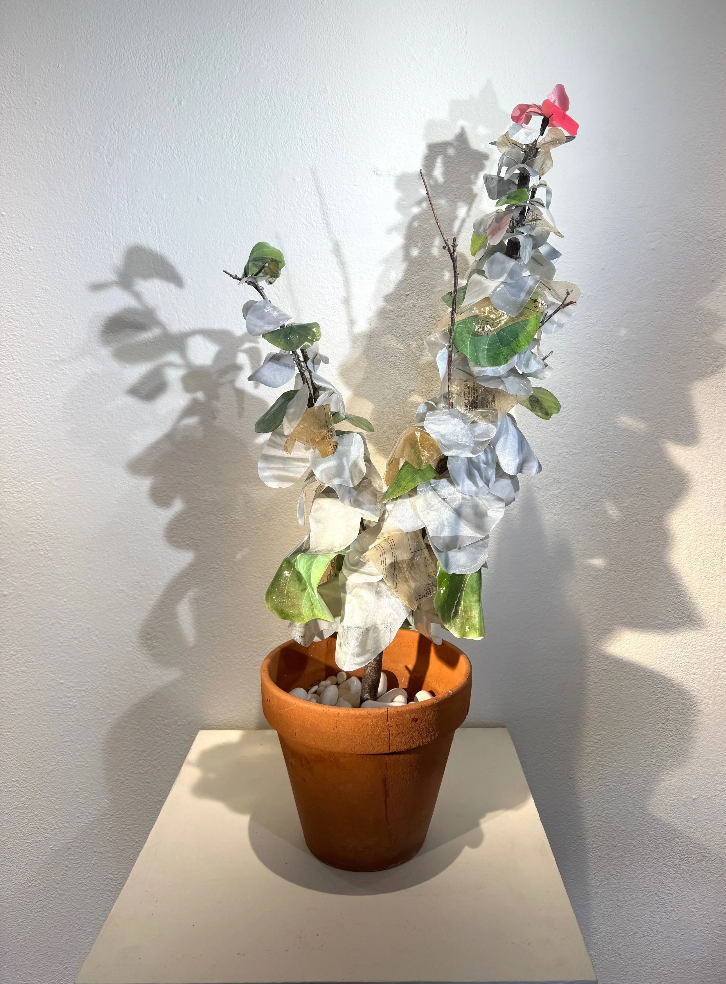 Twig & Gown Fig copy.jpg