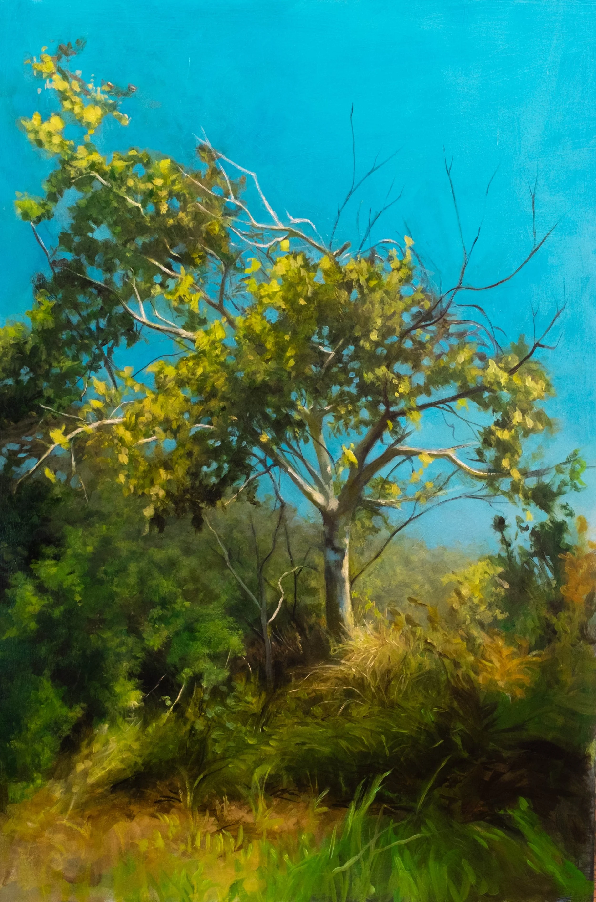 Chromatic Victory 36x24.jpg