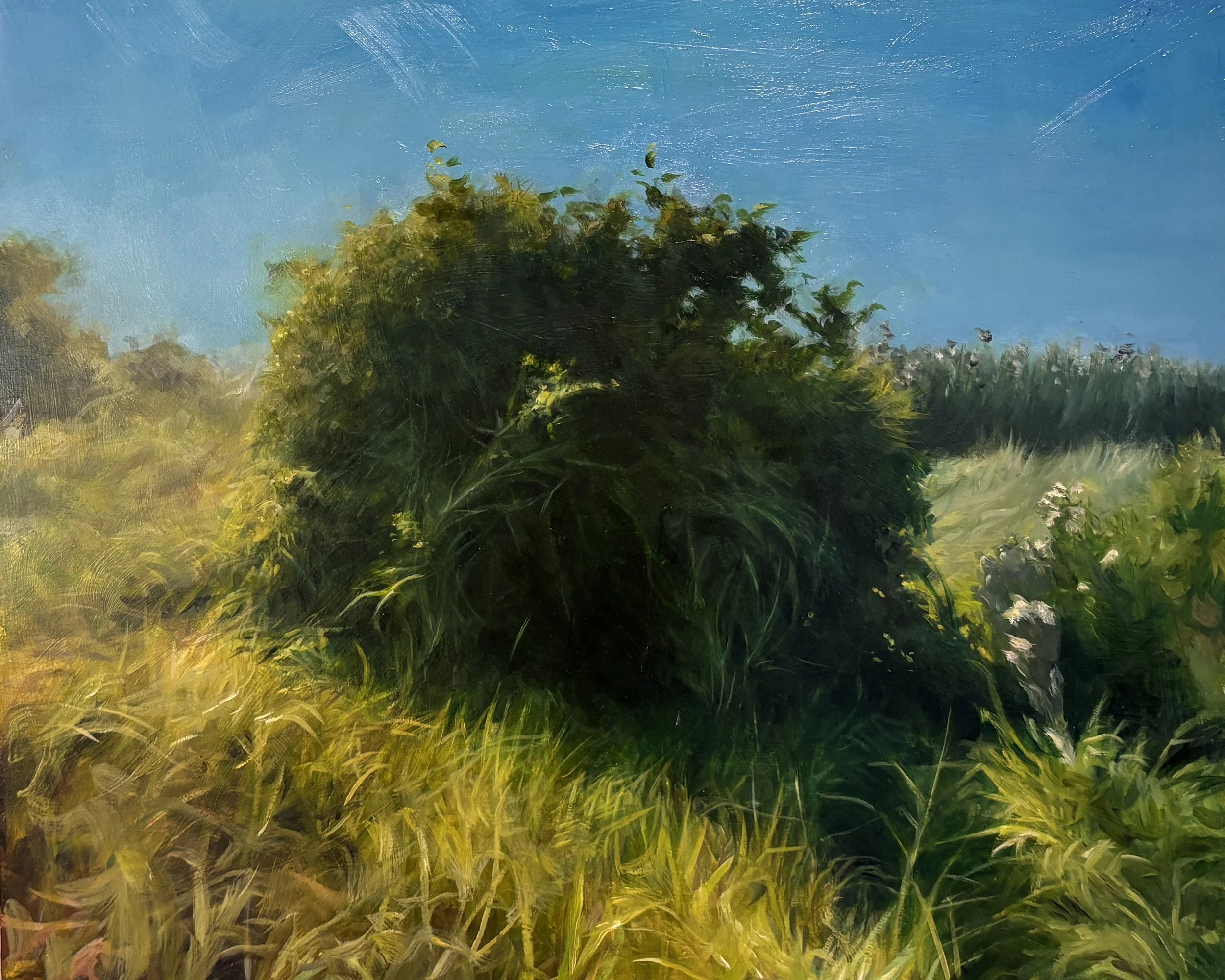 Empty with Bird Sounds.jpeg