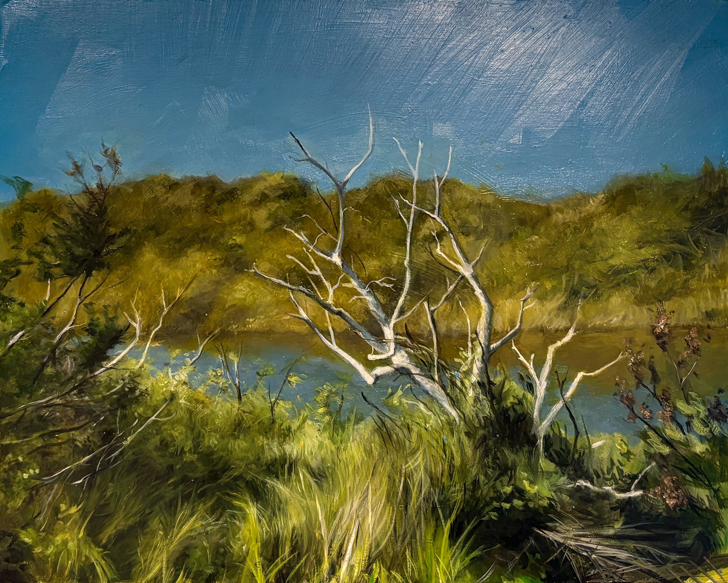 Uncertain Branches.jpeg