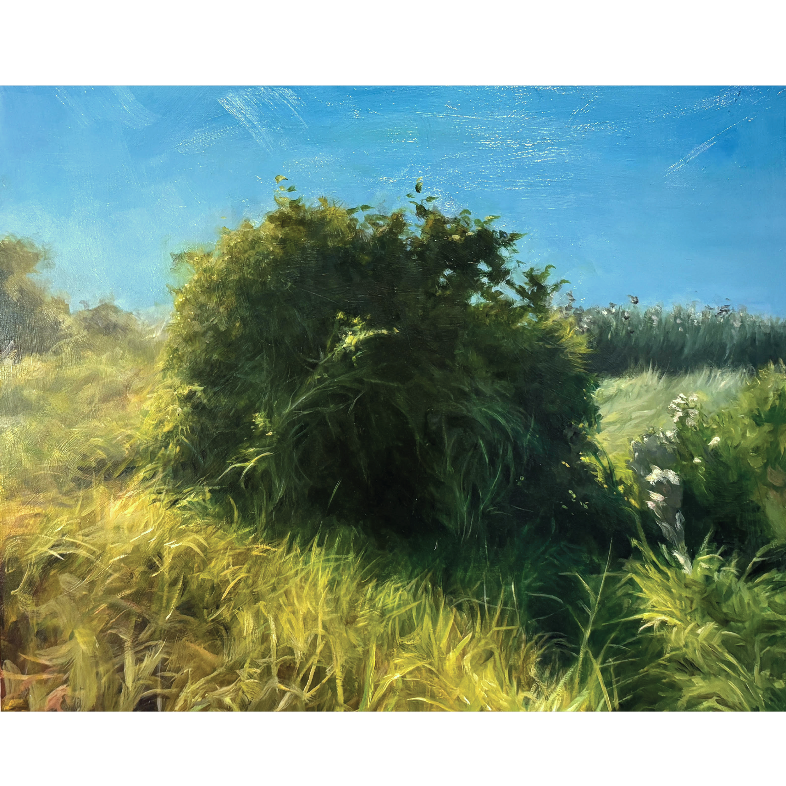 Empty with Bird Sounds_20 x 16_website.png