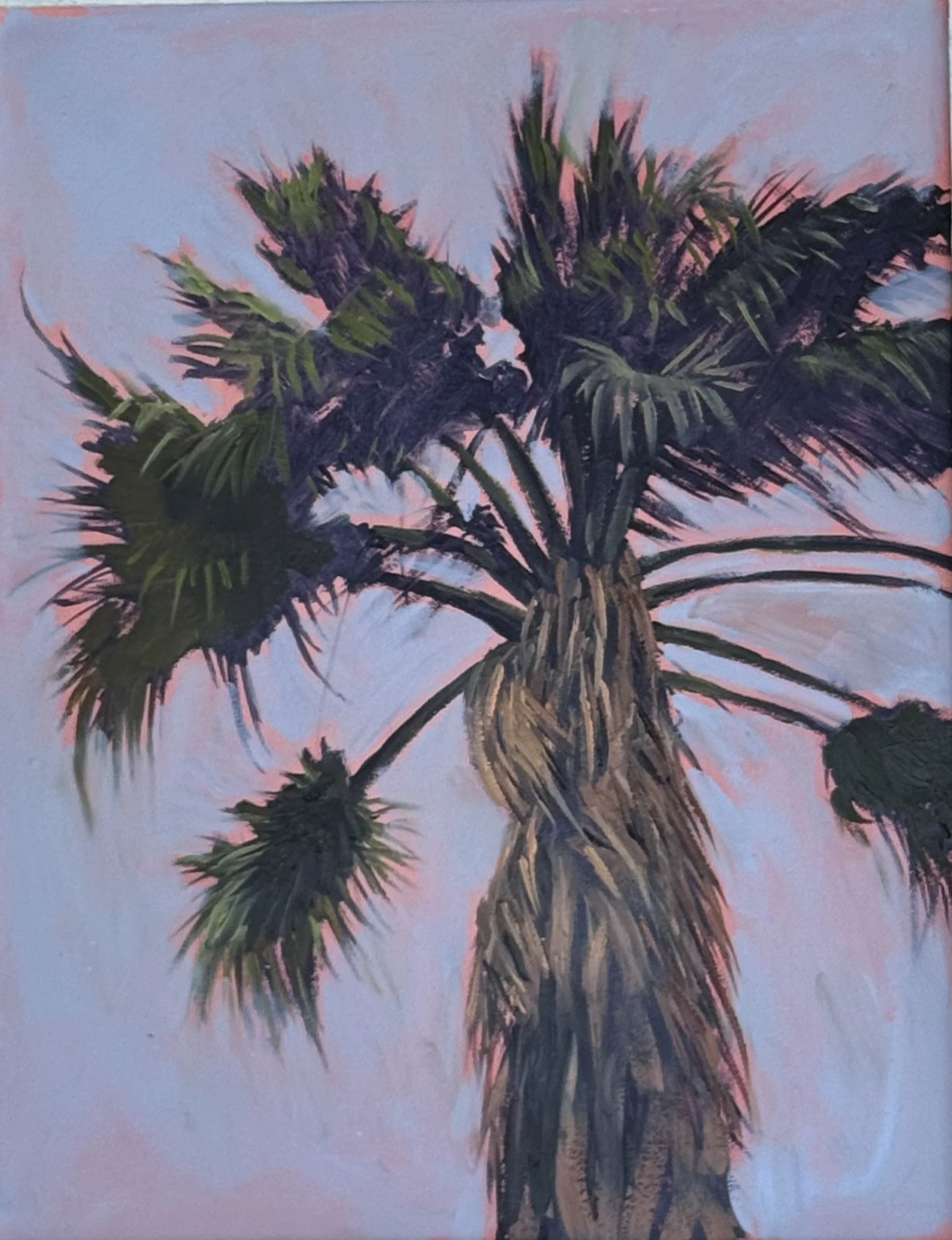 Jeffrey Neel McDaniel