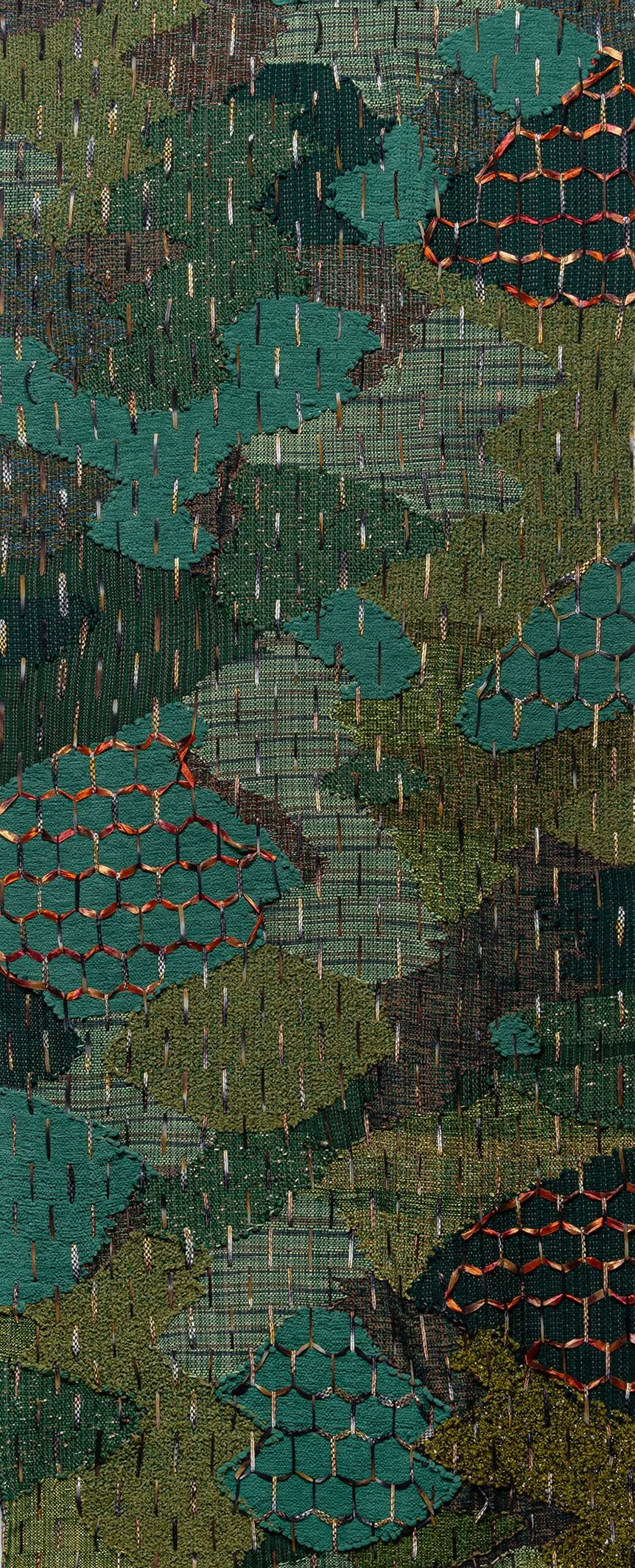 amazon rain forest.jpg