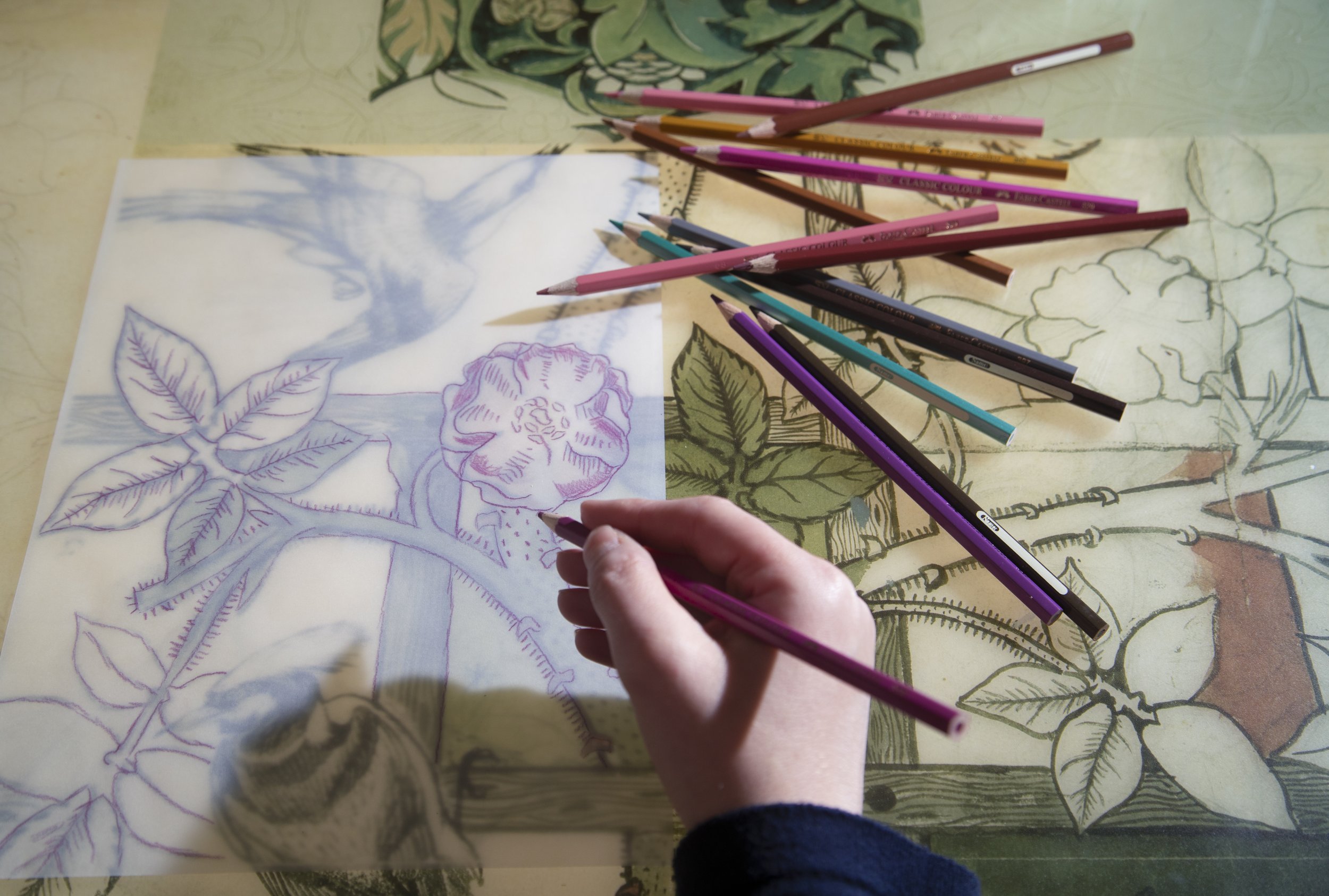 FSP_NT_Standen_Morris_017 copy.JPG