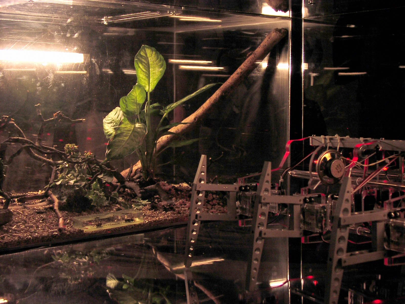 Small Work for Robot and Insects - 2002