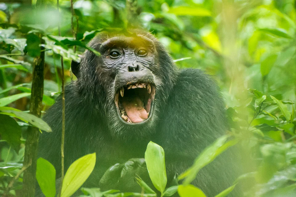 DSC_4075.jpg