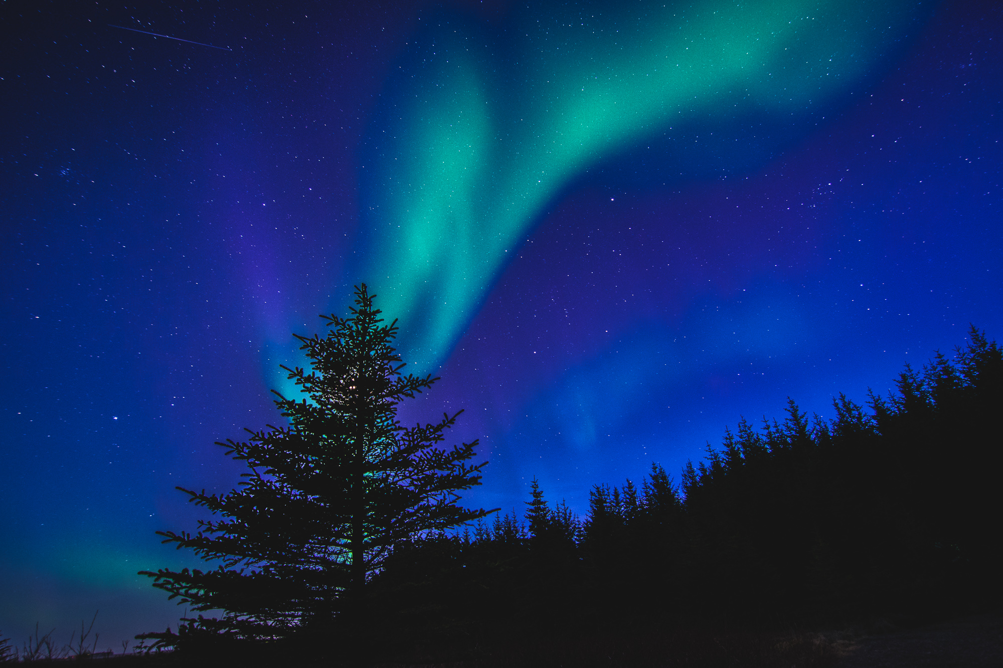DSC_2227.jpg