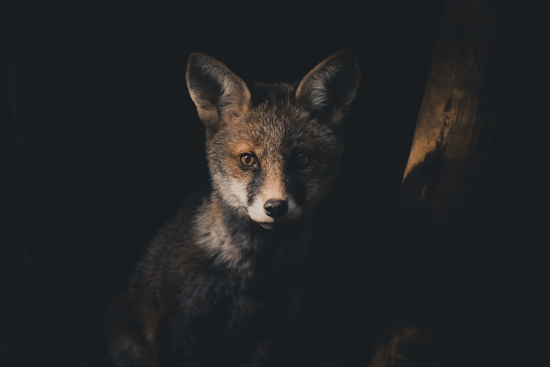 20190418-DSC_8667.jpg