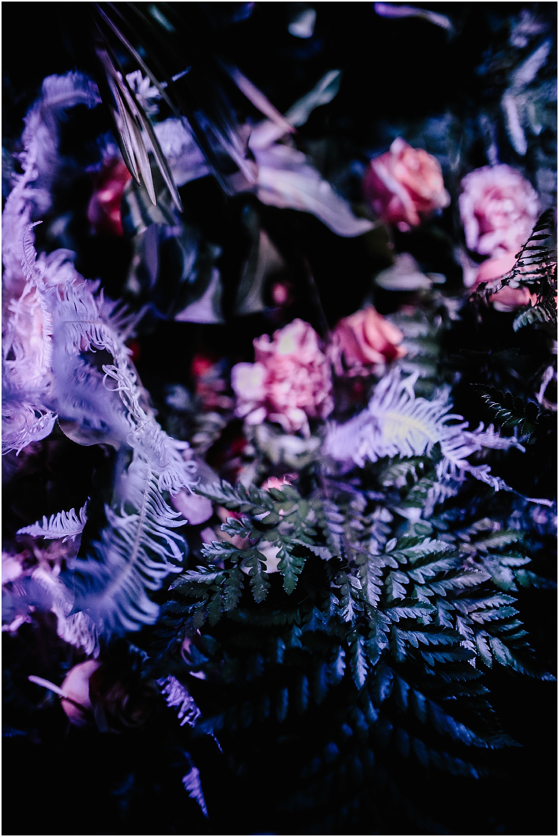 2019-06-06_0111.jpg