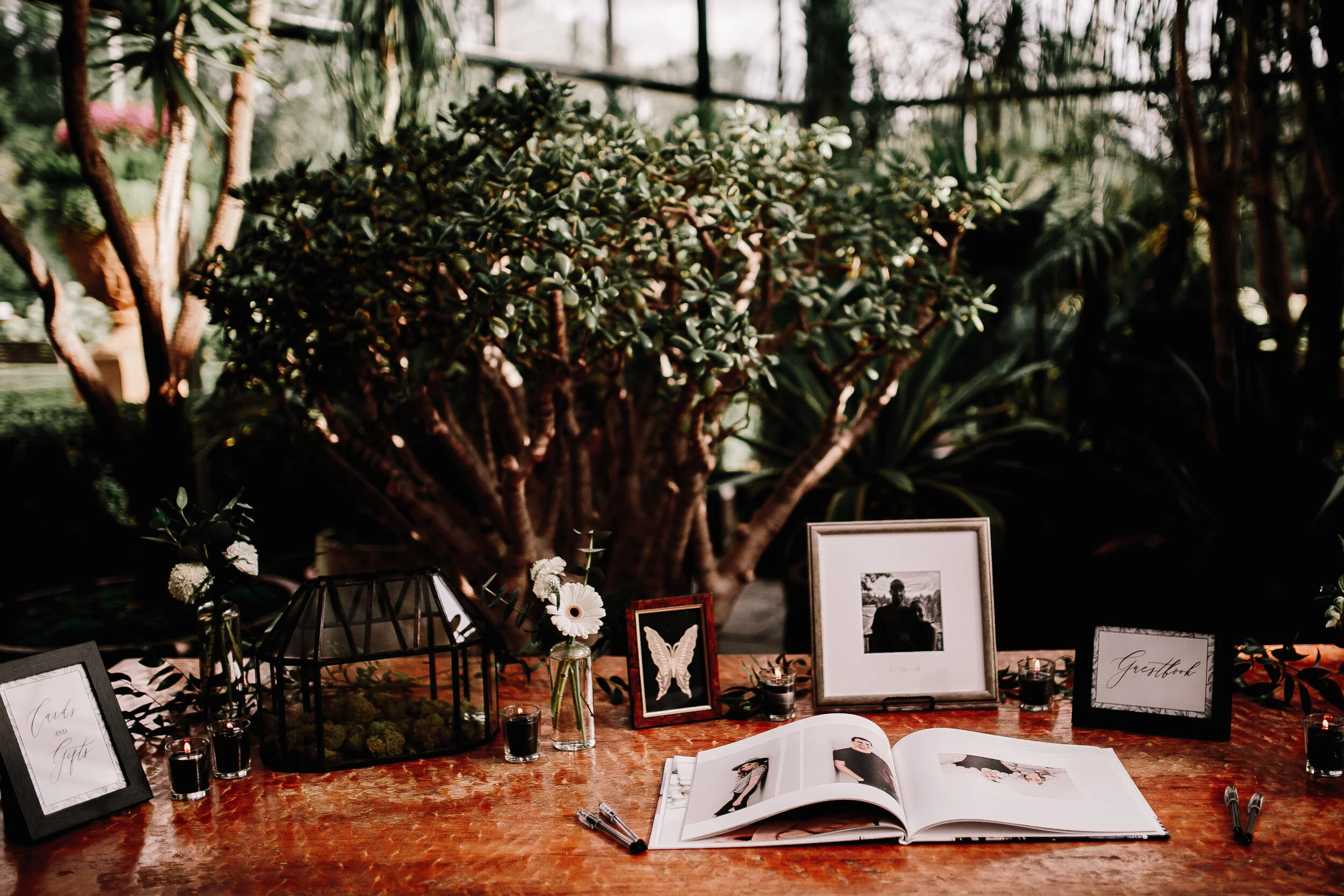 BAM33184.jpg