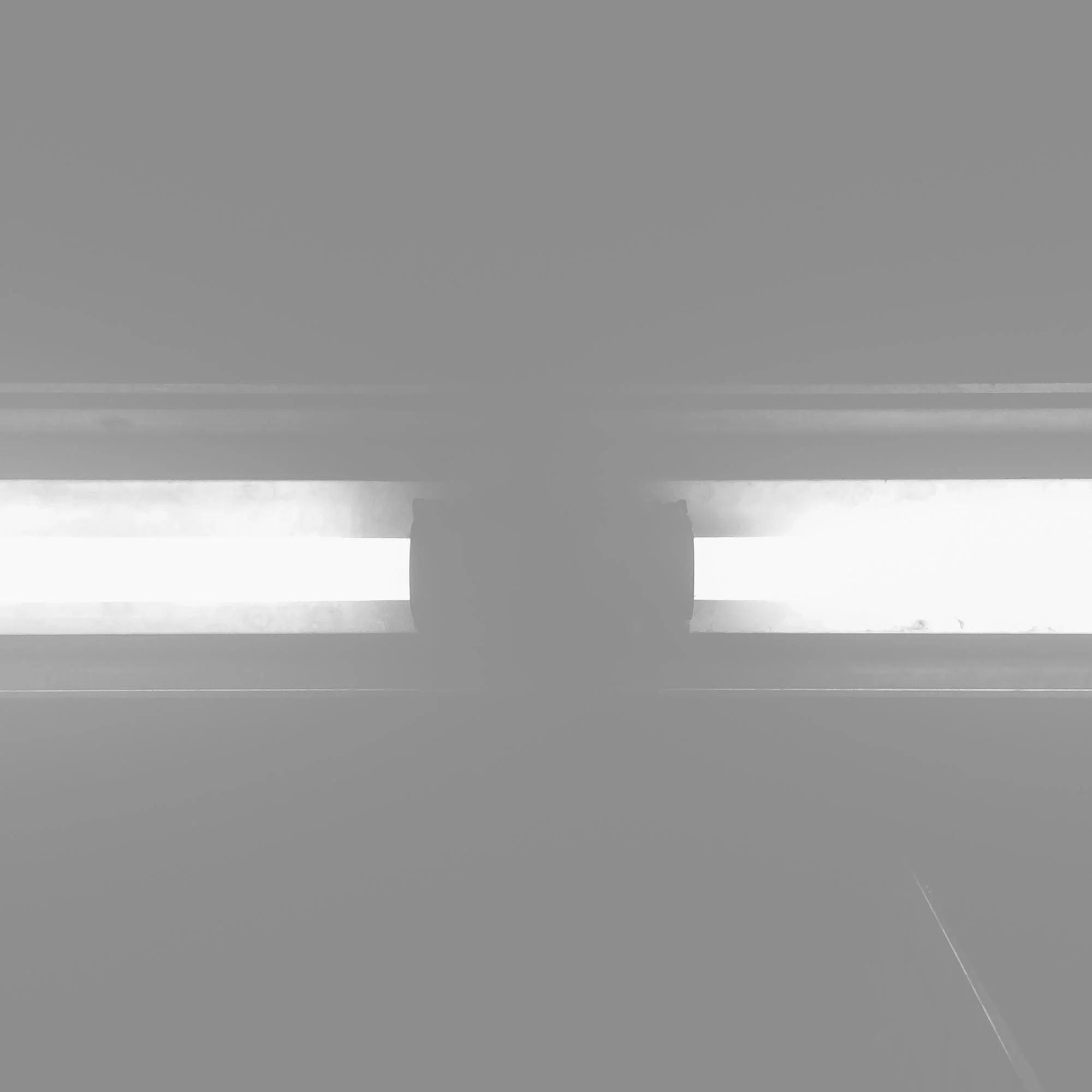 Elit Condimentum