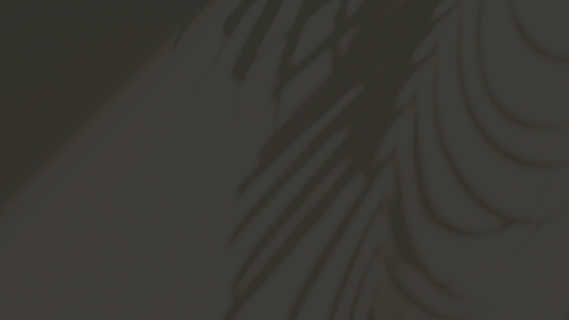 ParaagonFilmsLogoV1 (2).png