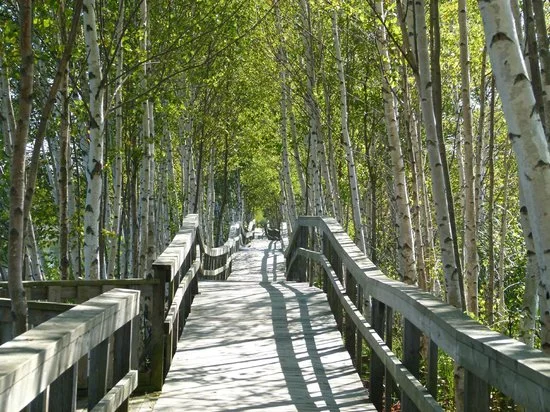 sackville-waterfowl-park.jpg
