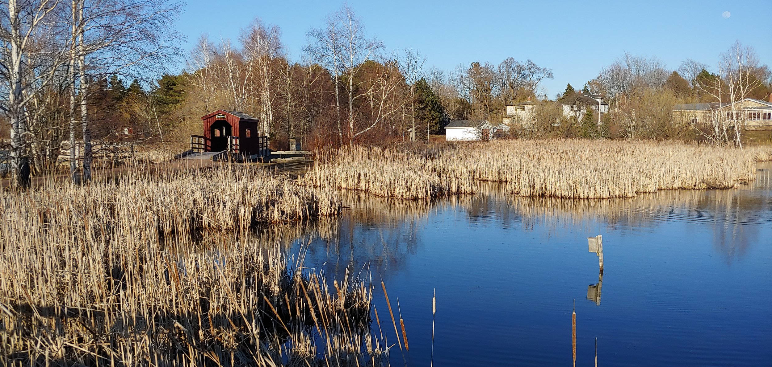 dusk waterfowl park.jpg