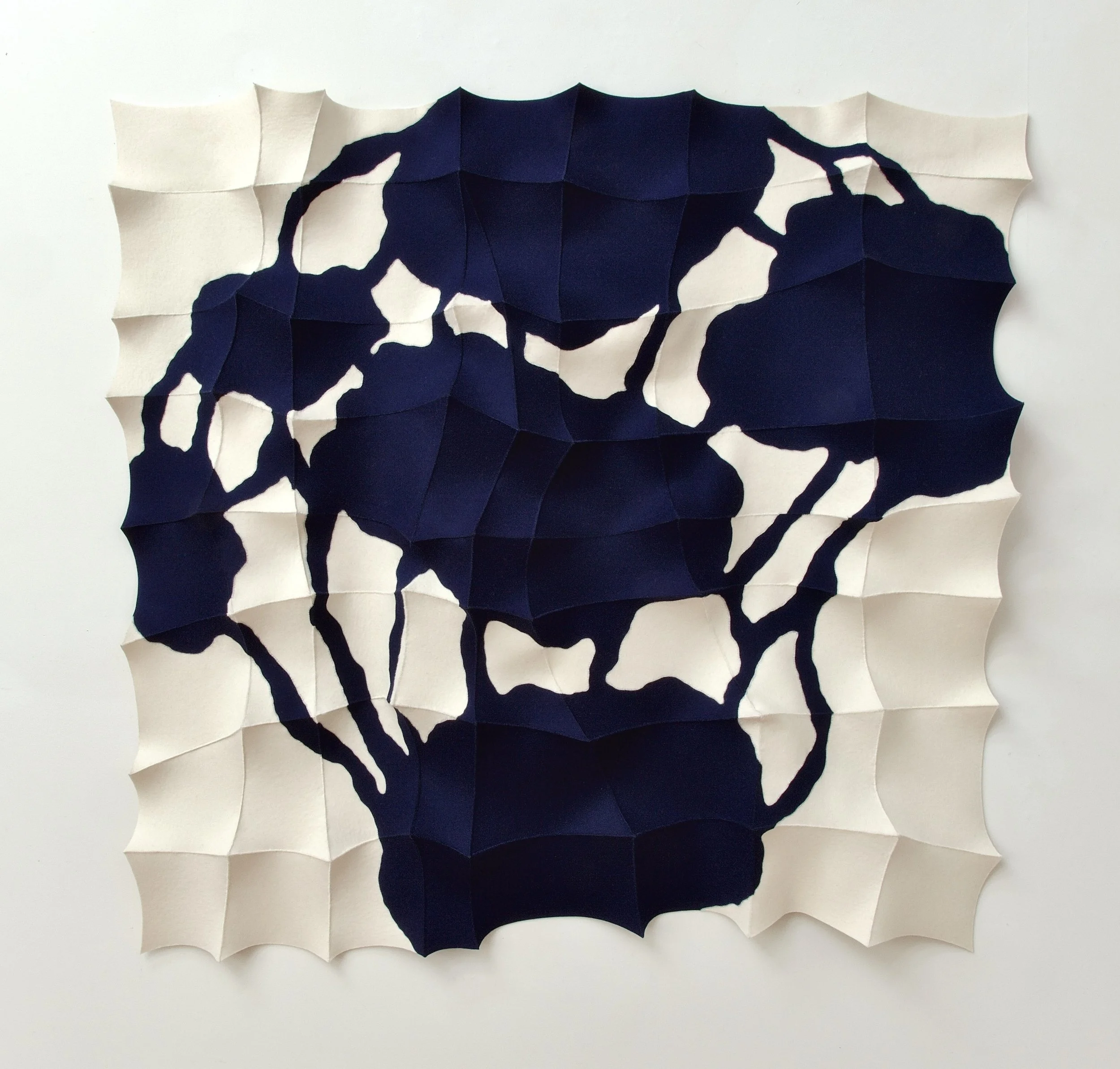 Bojagi Biomorphic