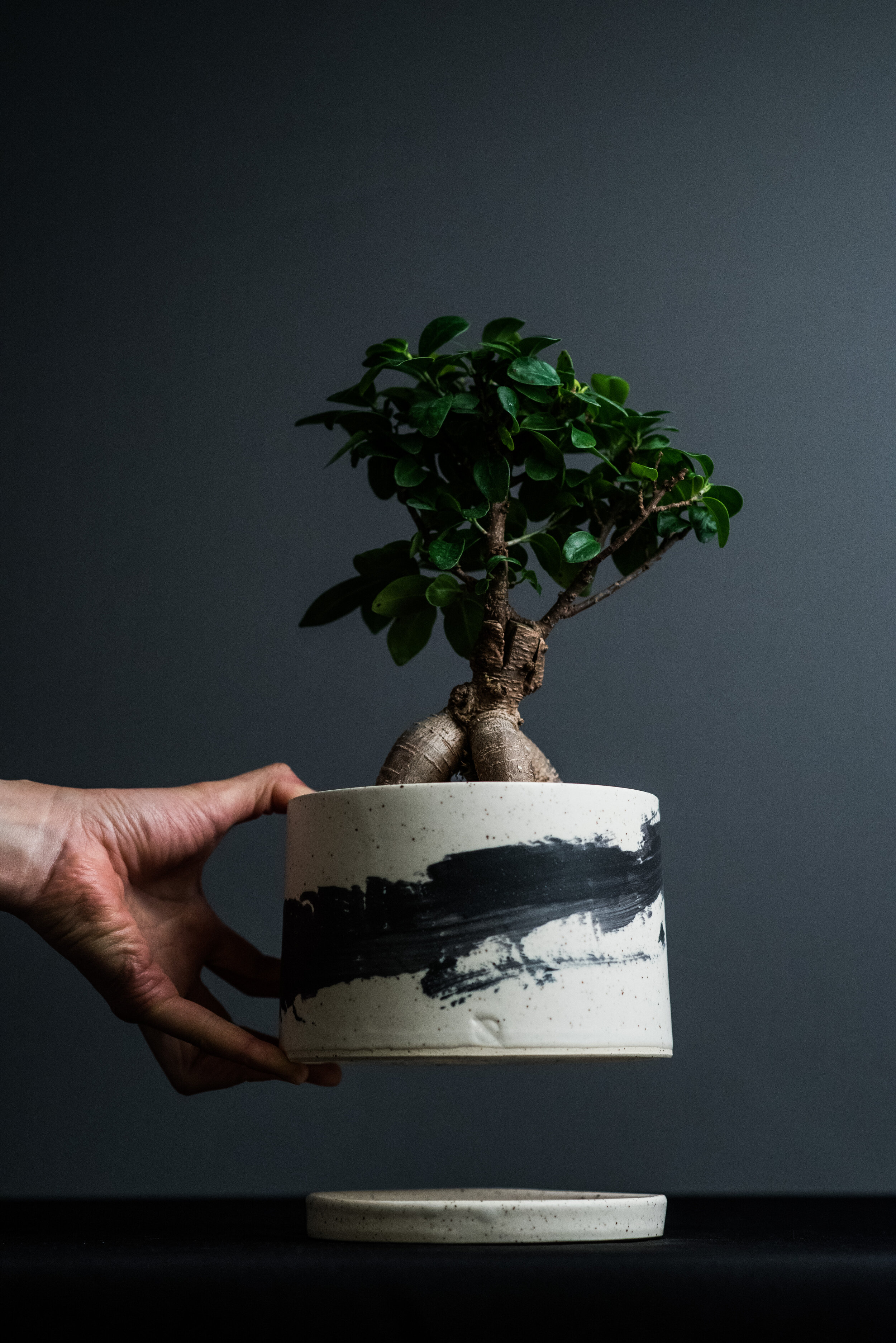   Quin Cheung  , Planter , 2019.  White speckled clay, 15 x 12 x 12 cm. COURTESY OF DQ STUDIOS 