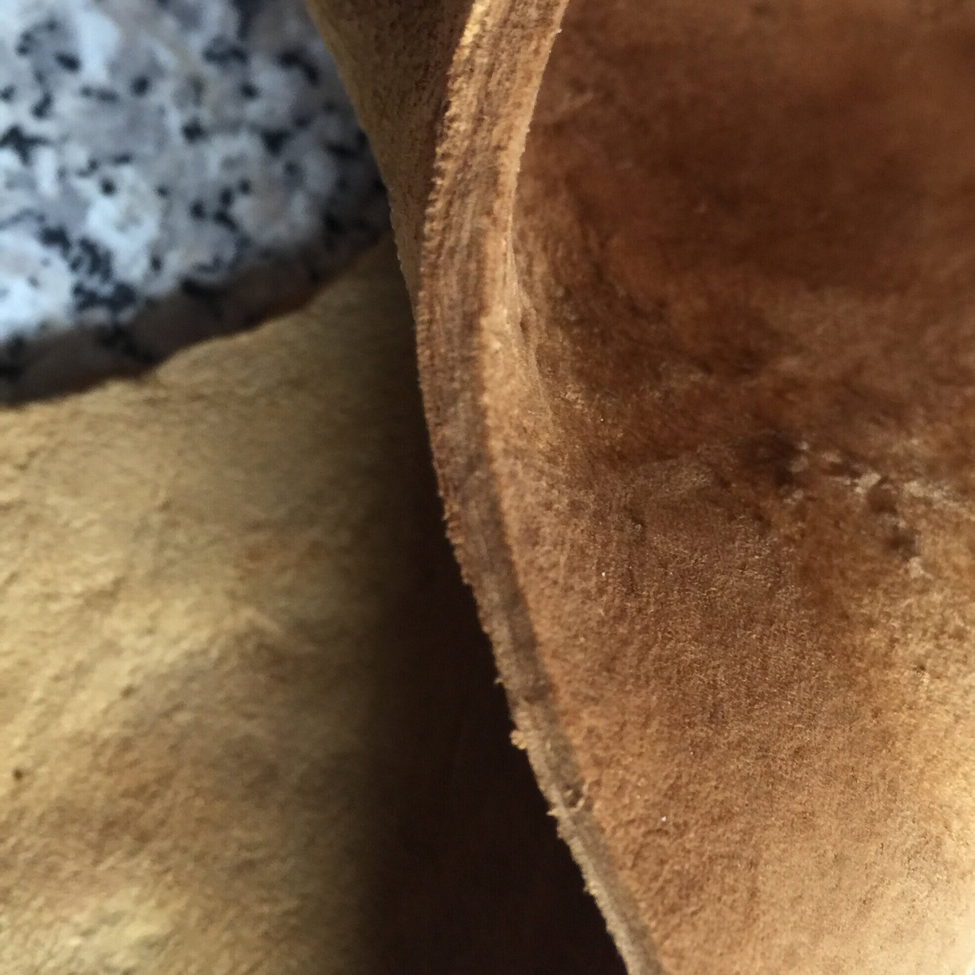  Mushroom-Leather , 2019 Ontario Fomes fomentarius/ Tinder fungus/Amadou PHOTO: TOSCA TERÁN  