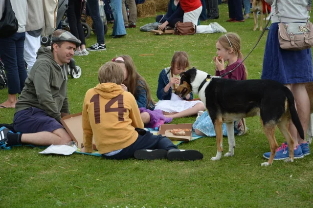 dog picnic.jpeg