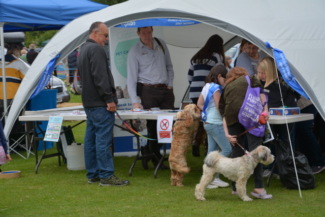 Dogs signing in.jpeg