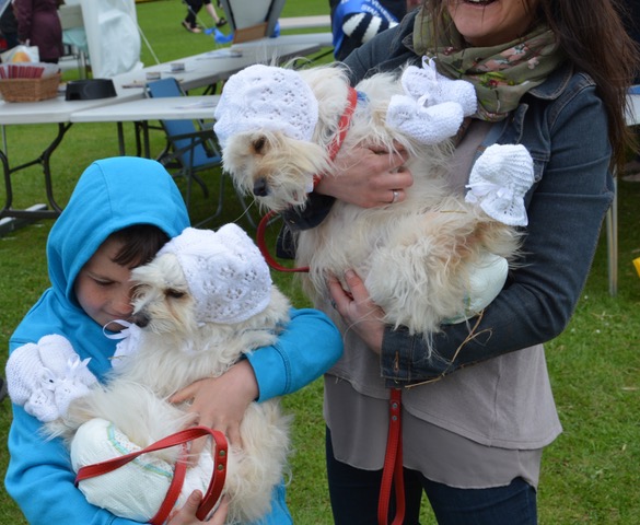 Two little dogs in bonnet and booties.jpeg