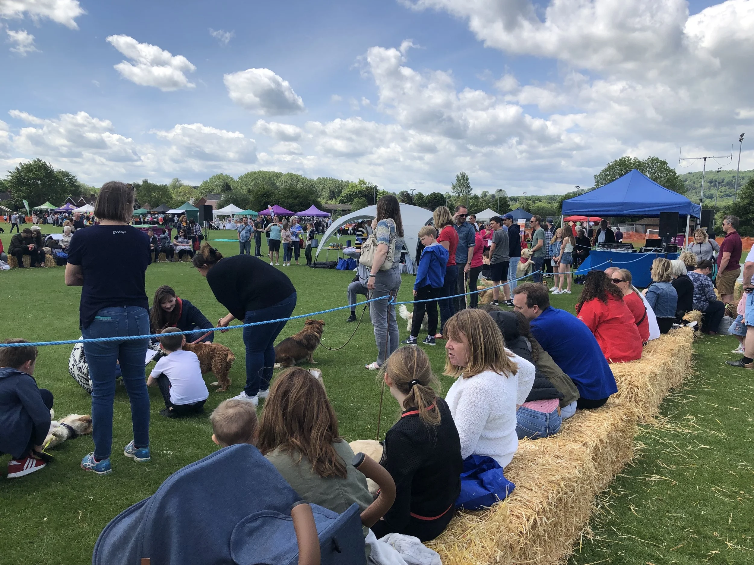 Dog show is busy.jpeg