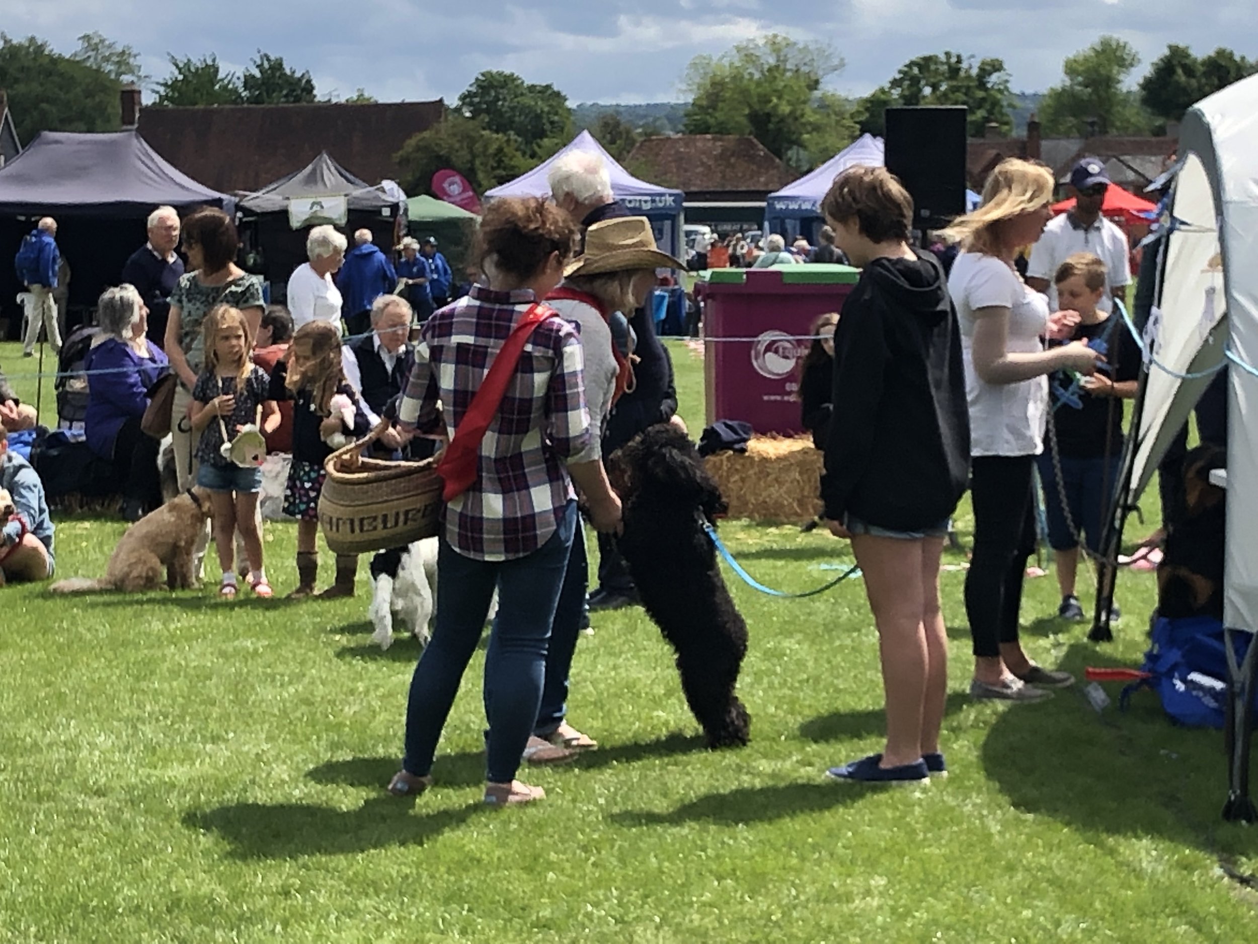 Dog show judging.jpeg