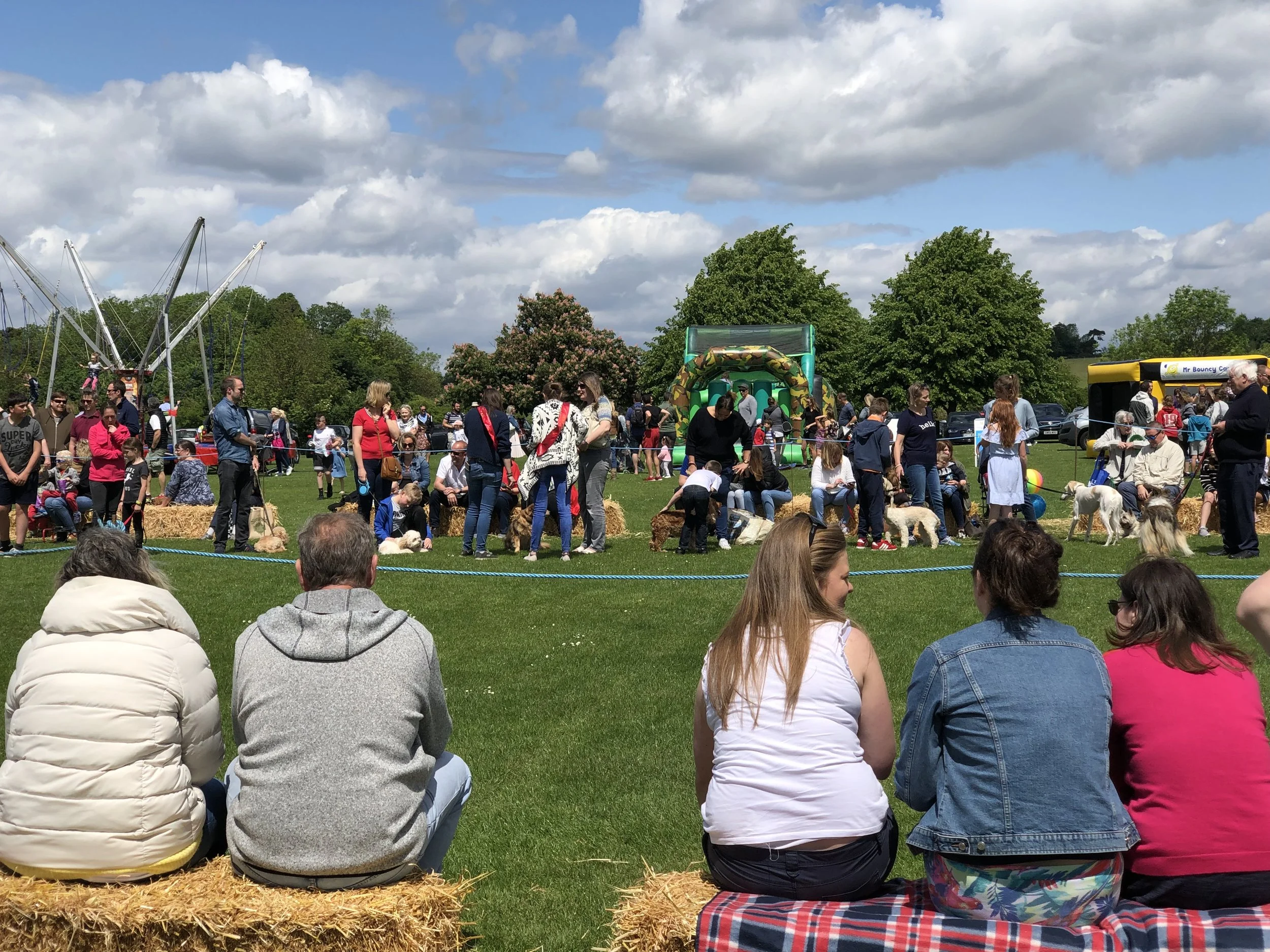 Dog show parade.jpeg