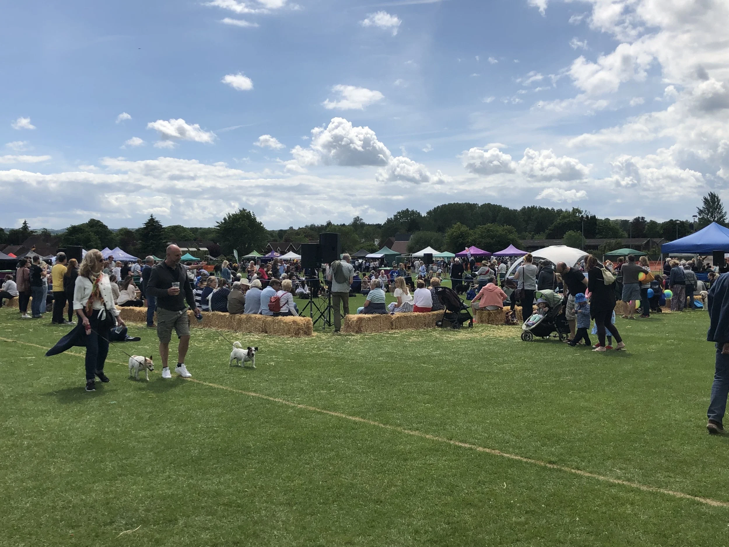 Looking to the dog show arena.jpeg