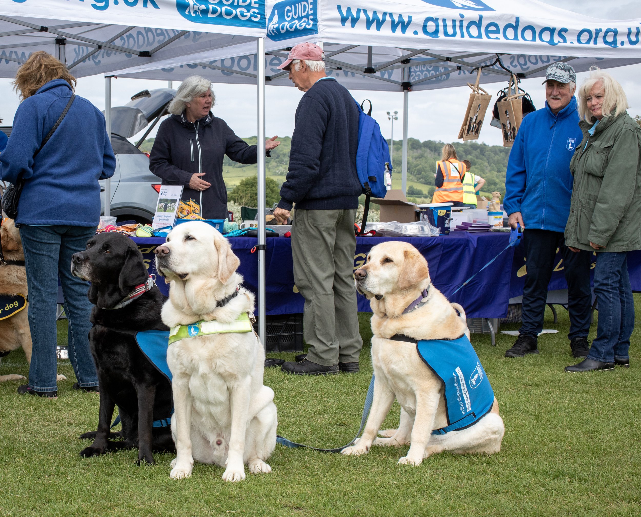 631A9350_Guide_Dogs.jpg