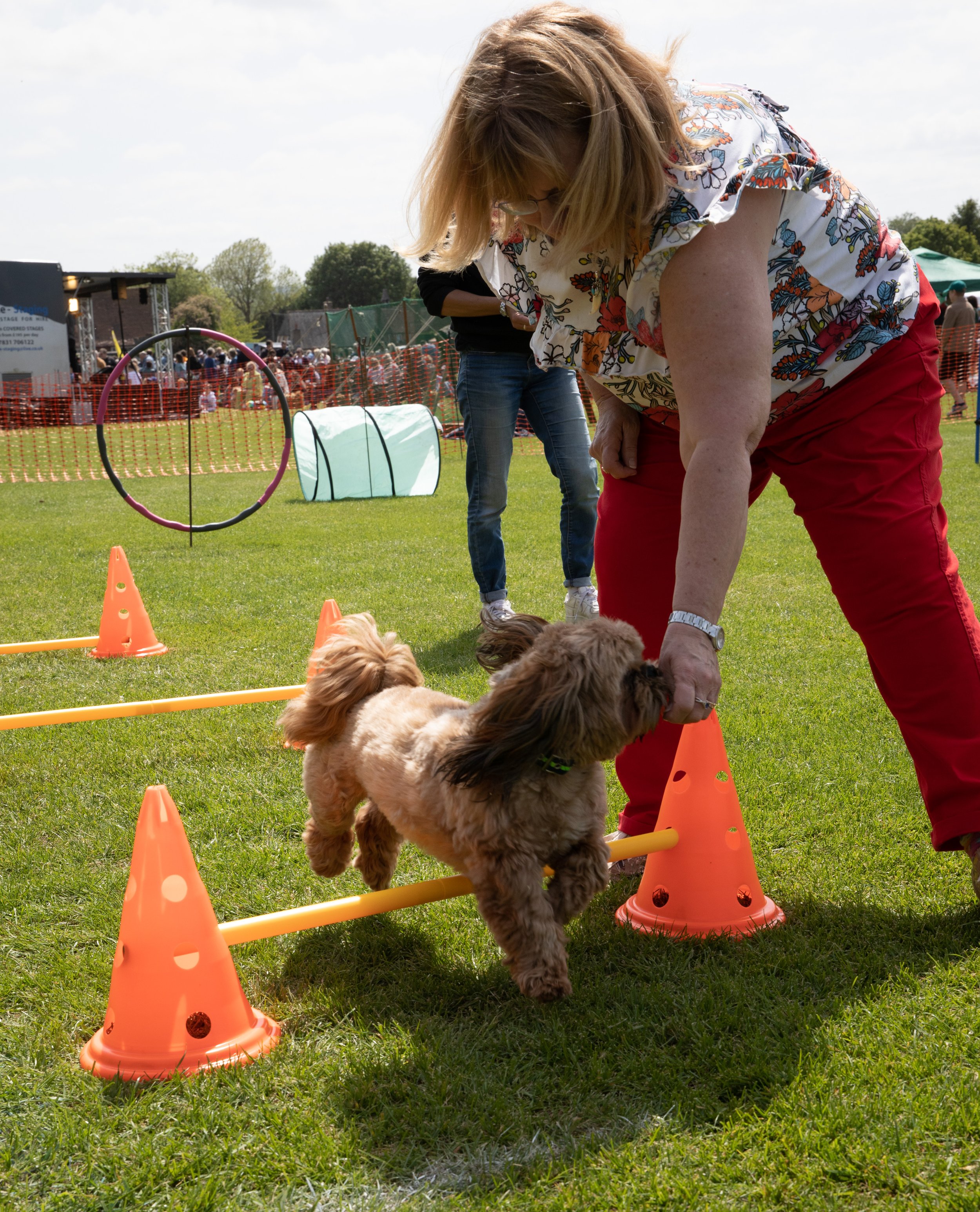 631A9710_Dog_Agility.jpg