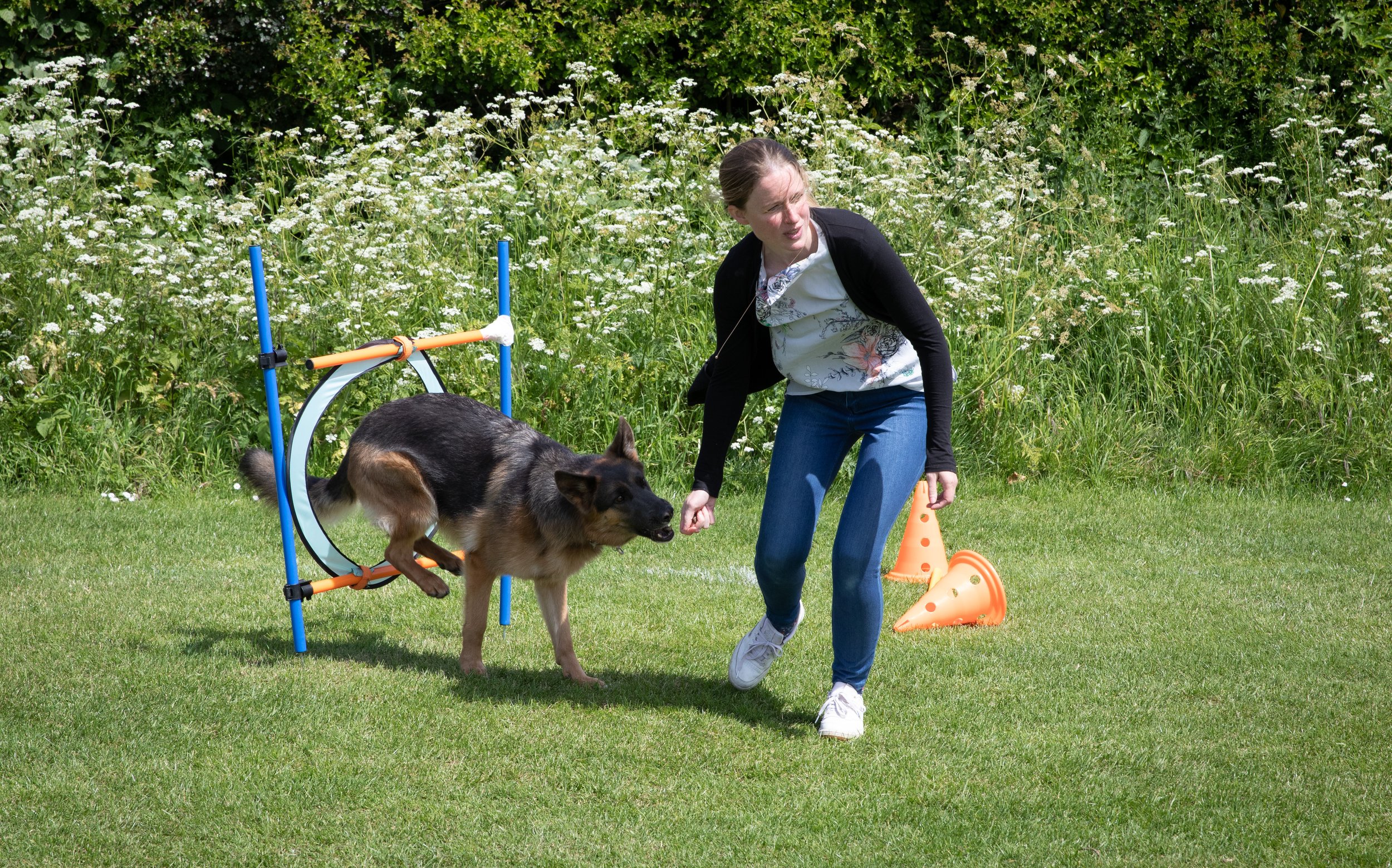 631A9767_Dog_Agility.jpg