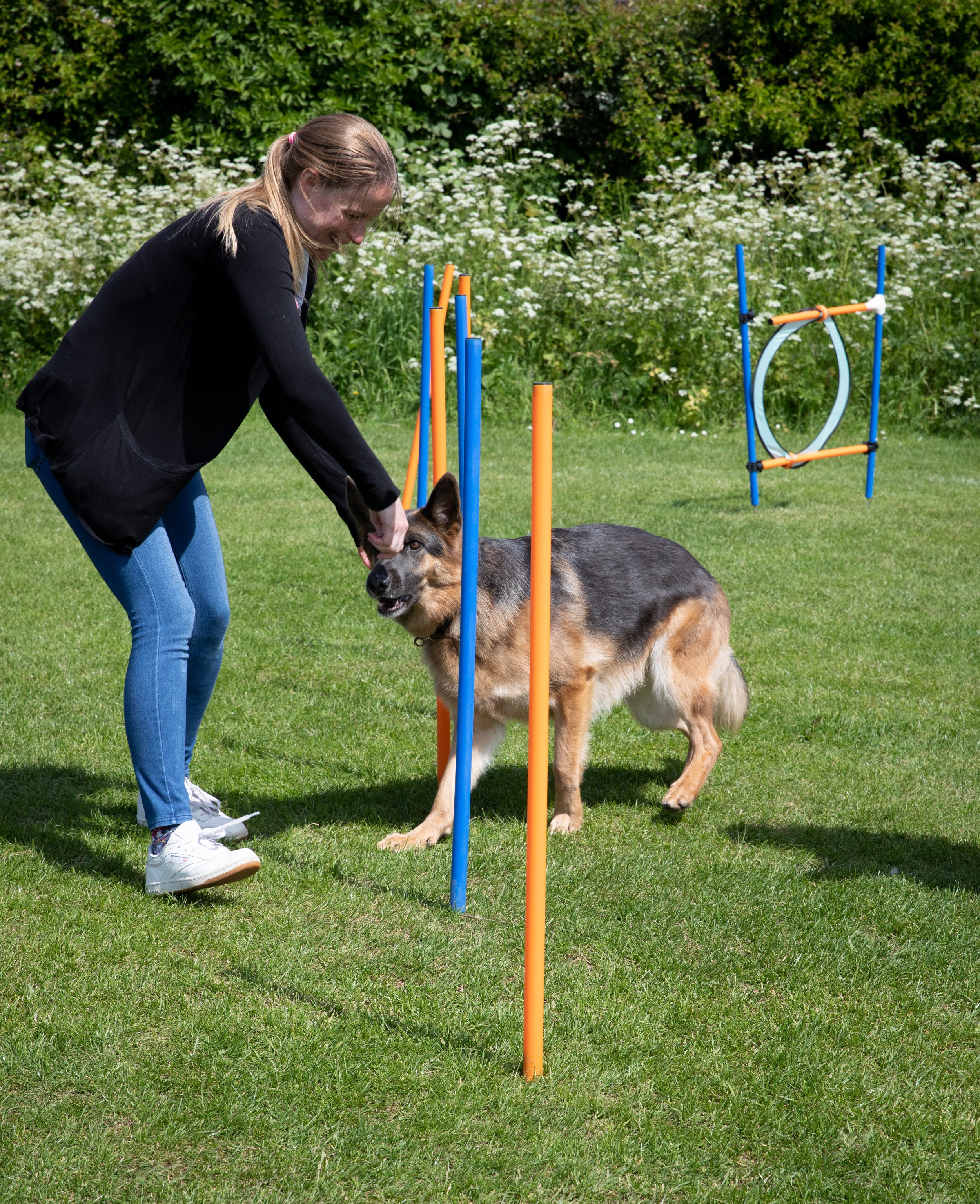 631A9772_Dog_Agility.jpg