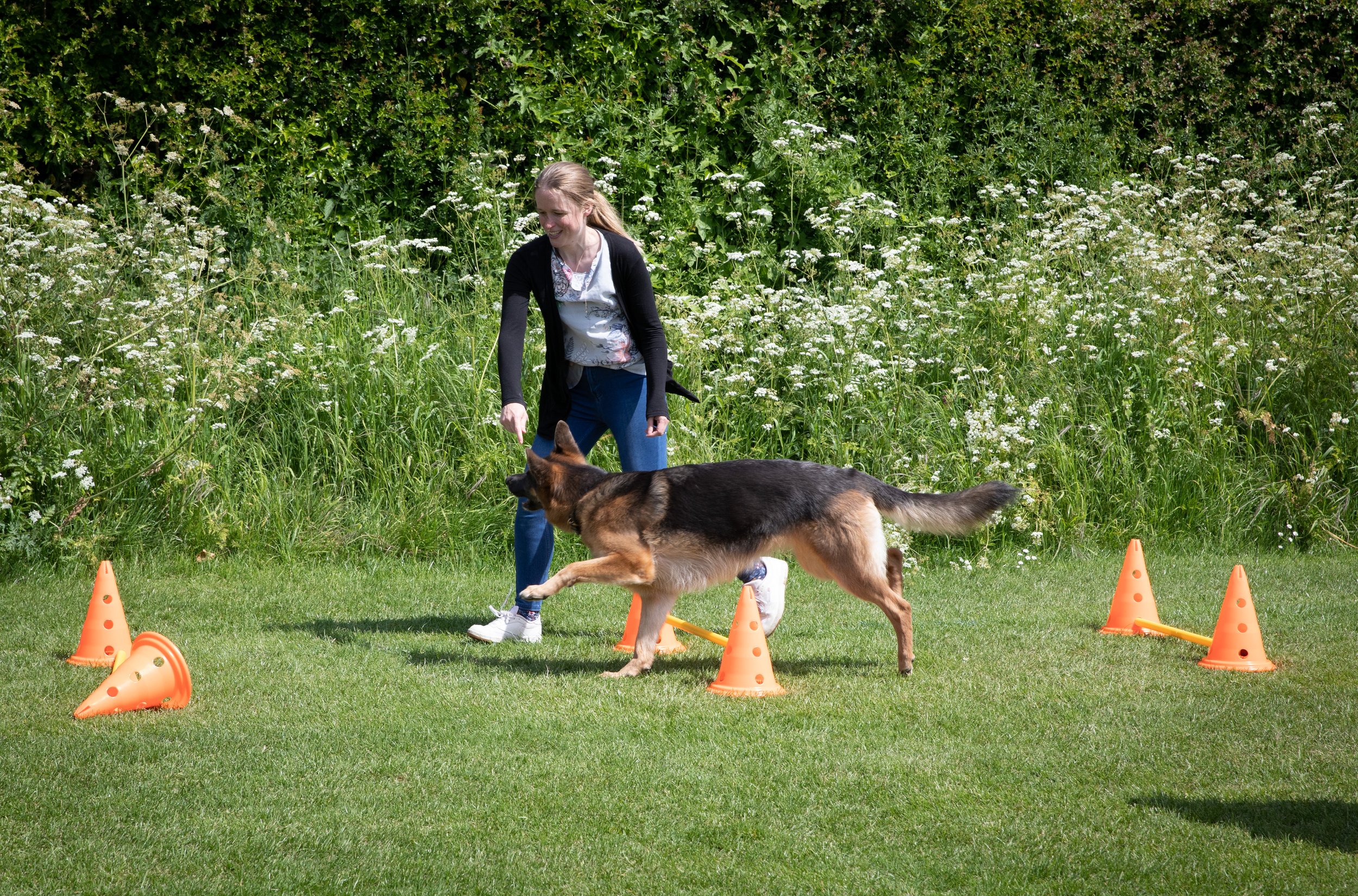 631A9765_Dog_Agility.jpg