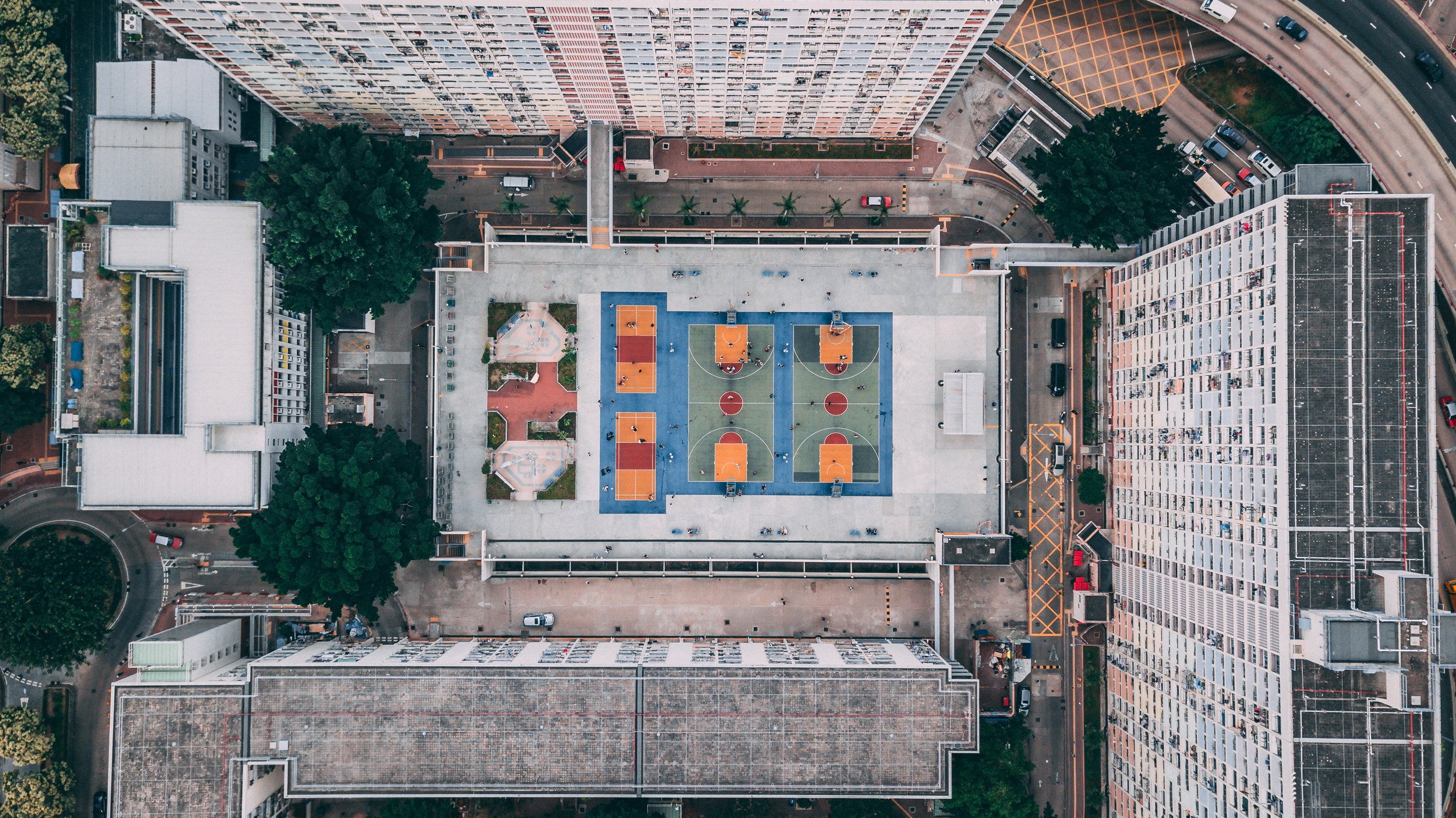 the roofs.jpg