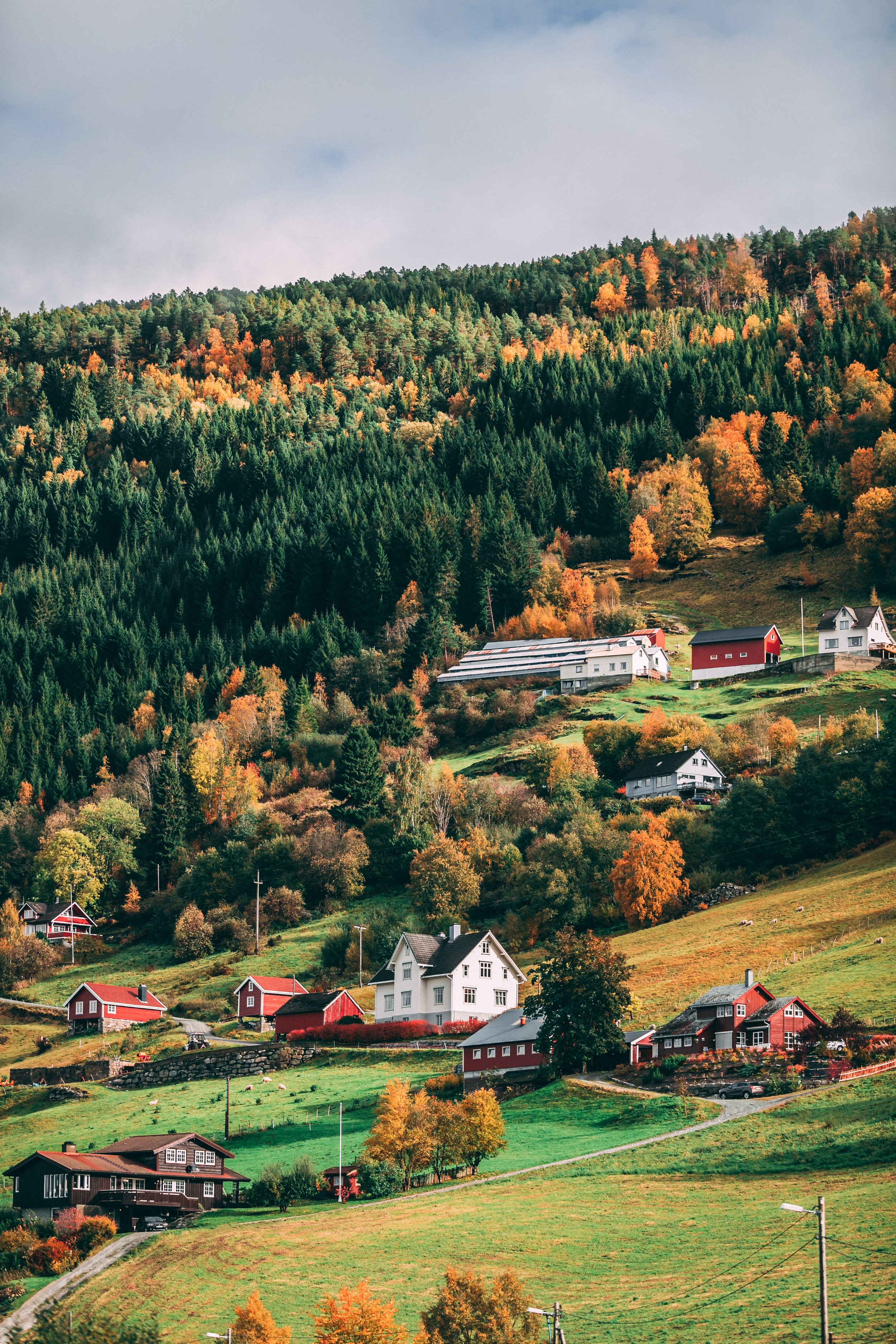 Hillside.jpg