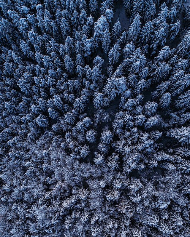 Fresh powder