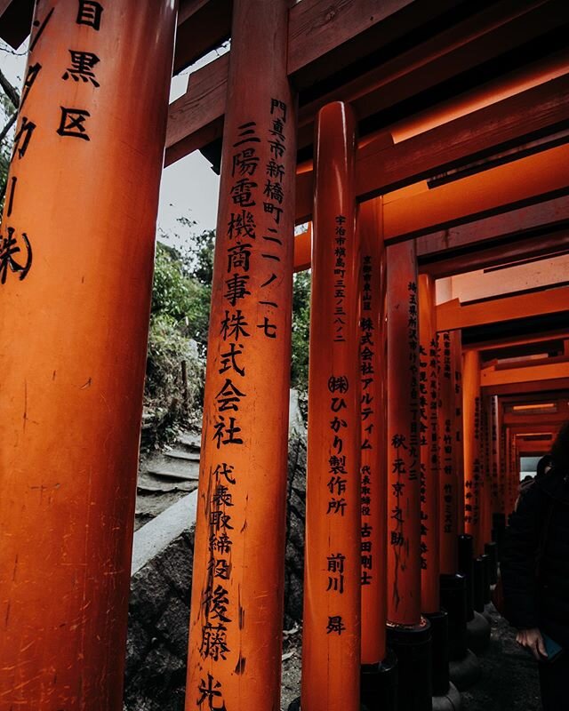 For luck and fortune 🇯🇵
.
.
.
.
.
.

#japan #kyoto #kyotojapan #kyototravel #kyototrip #kyotogram #fushimiinari #fushimiinarishrine #moodyphotography #greentrees #ig_masterpiece #flashesofdelight #travelog #mytinyatlas #visualmobs #theglobewanderer