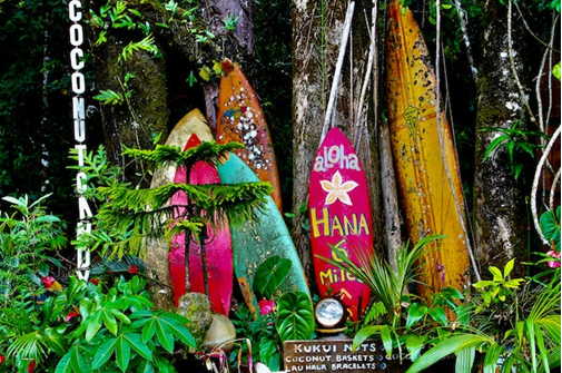 Fall Mixer &amp; Maui Fundraiser